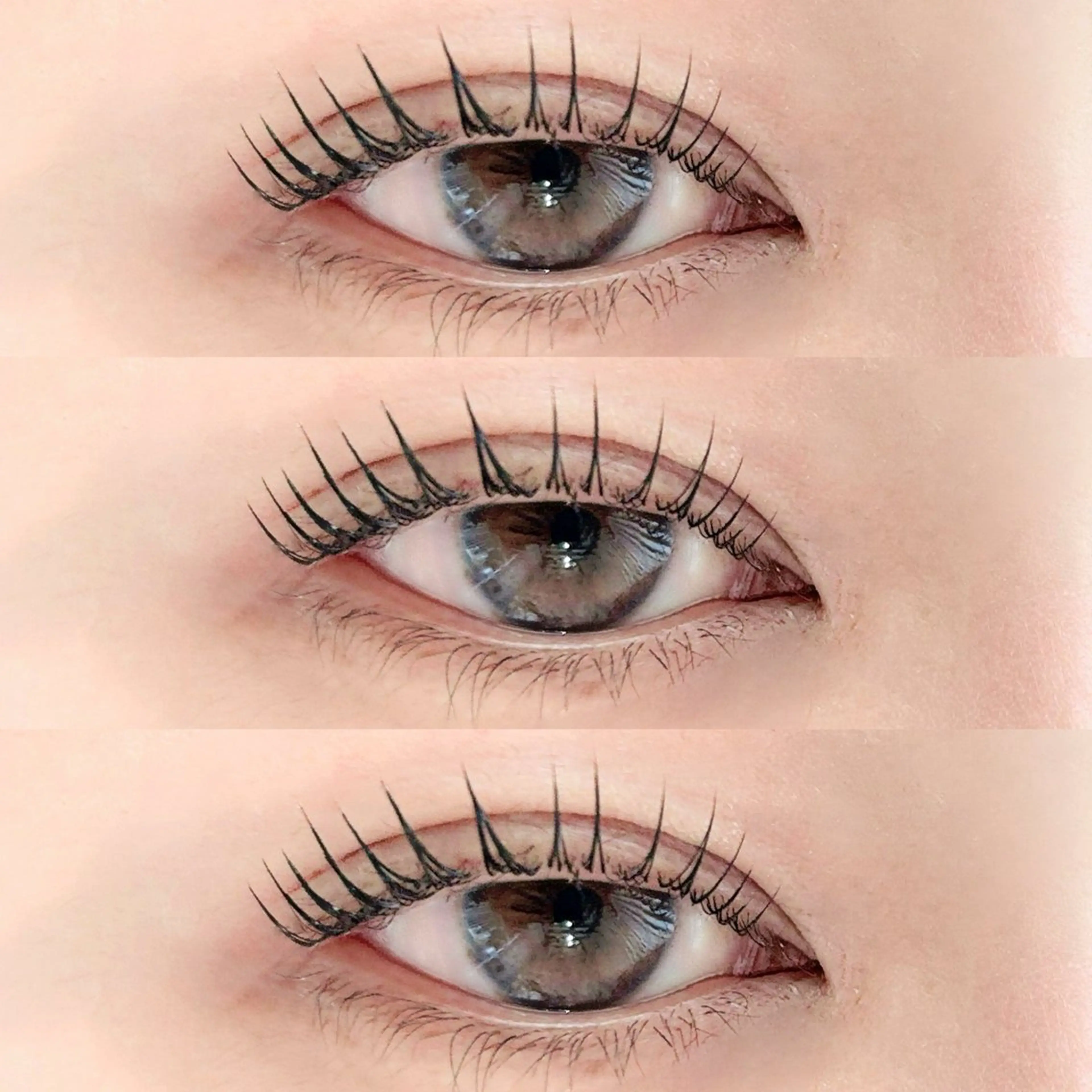 🫧パリジェンヌラッシュリフト お仕上げコーティング付き🫧の写真