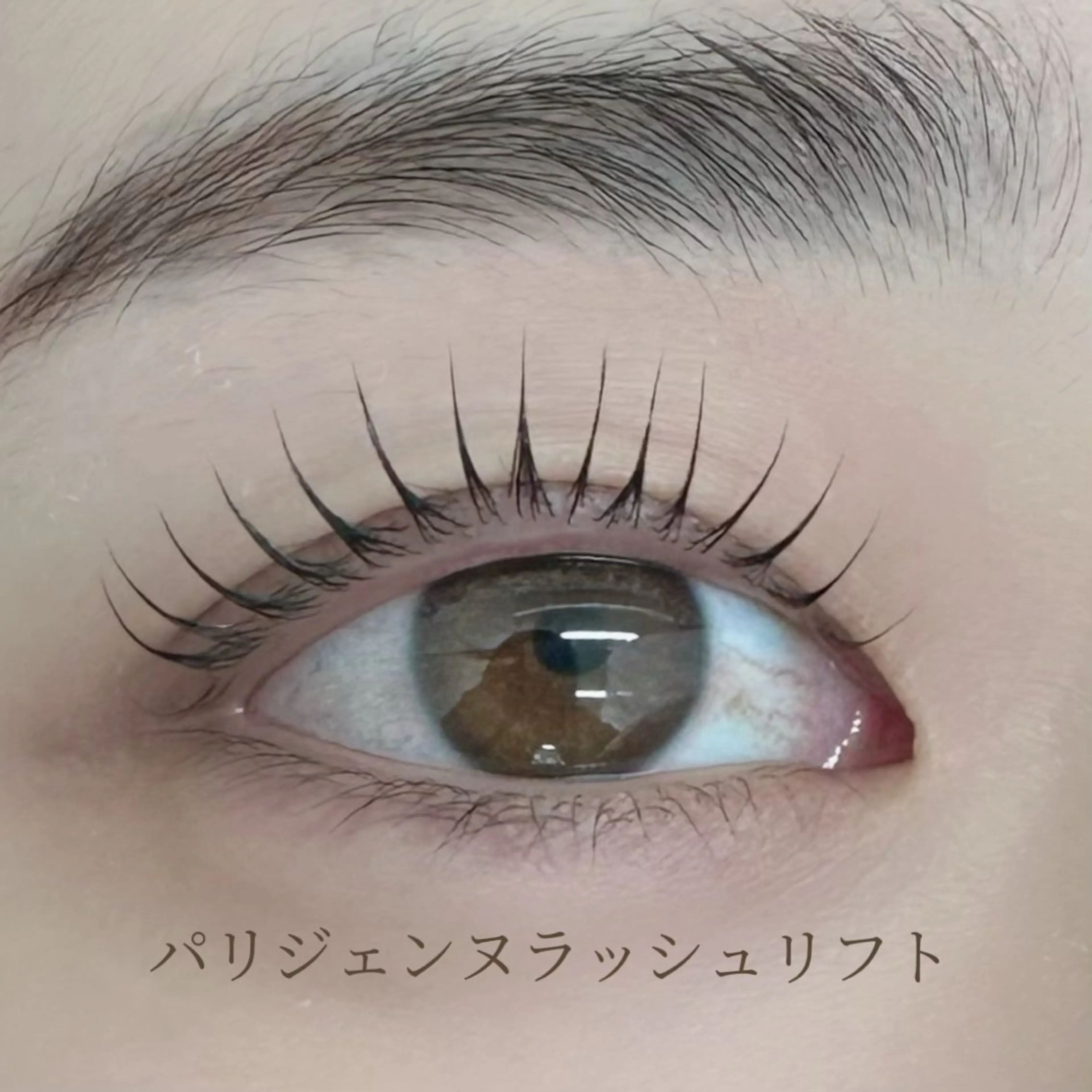 マツエク・マツパ alice tokyo🌿鈴木のマツエク・マツパデザイン