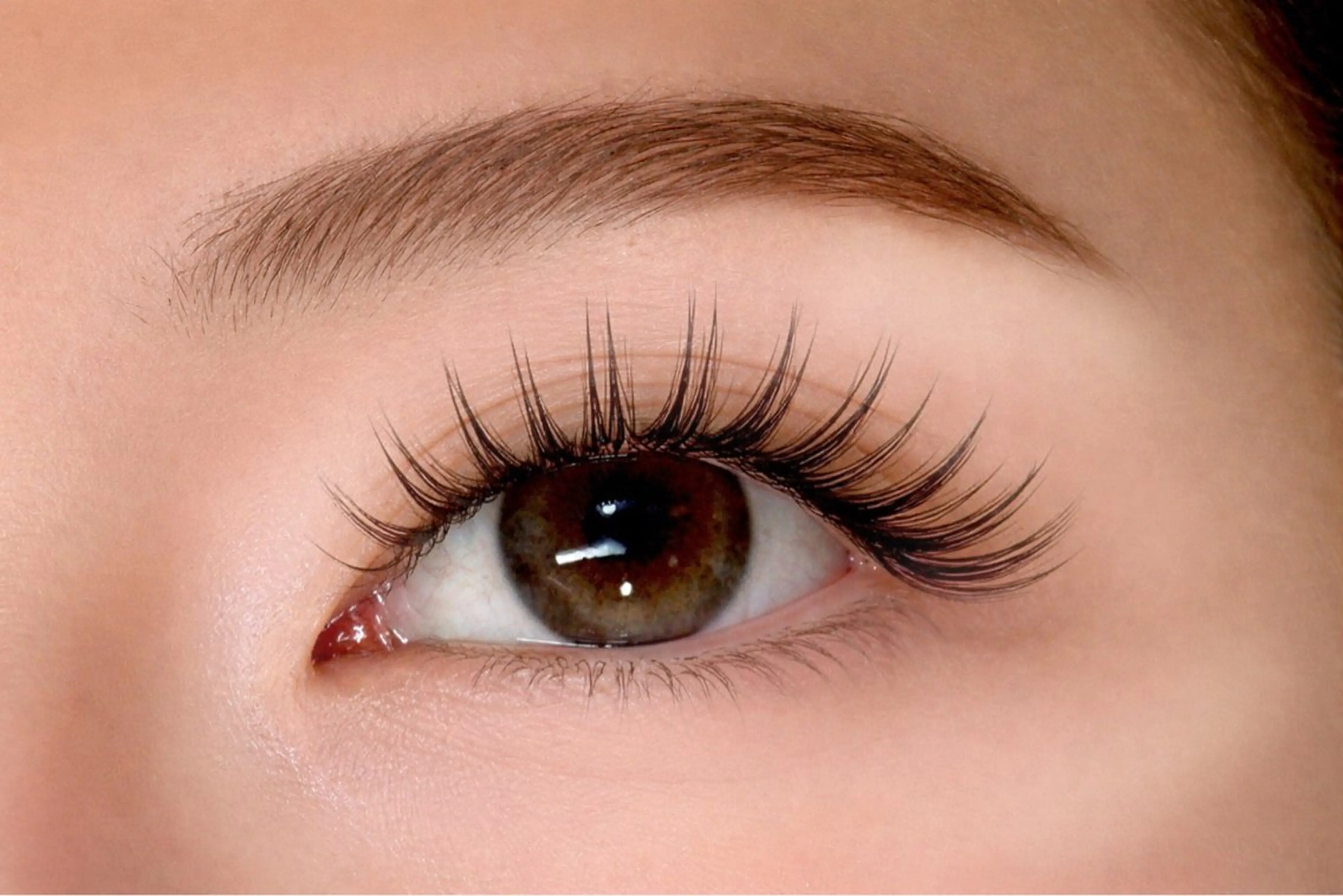 【期間限定🌸】フラットラッシュ120本‼️の写真