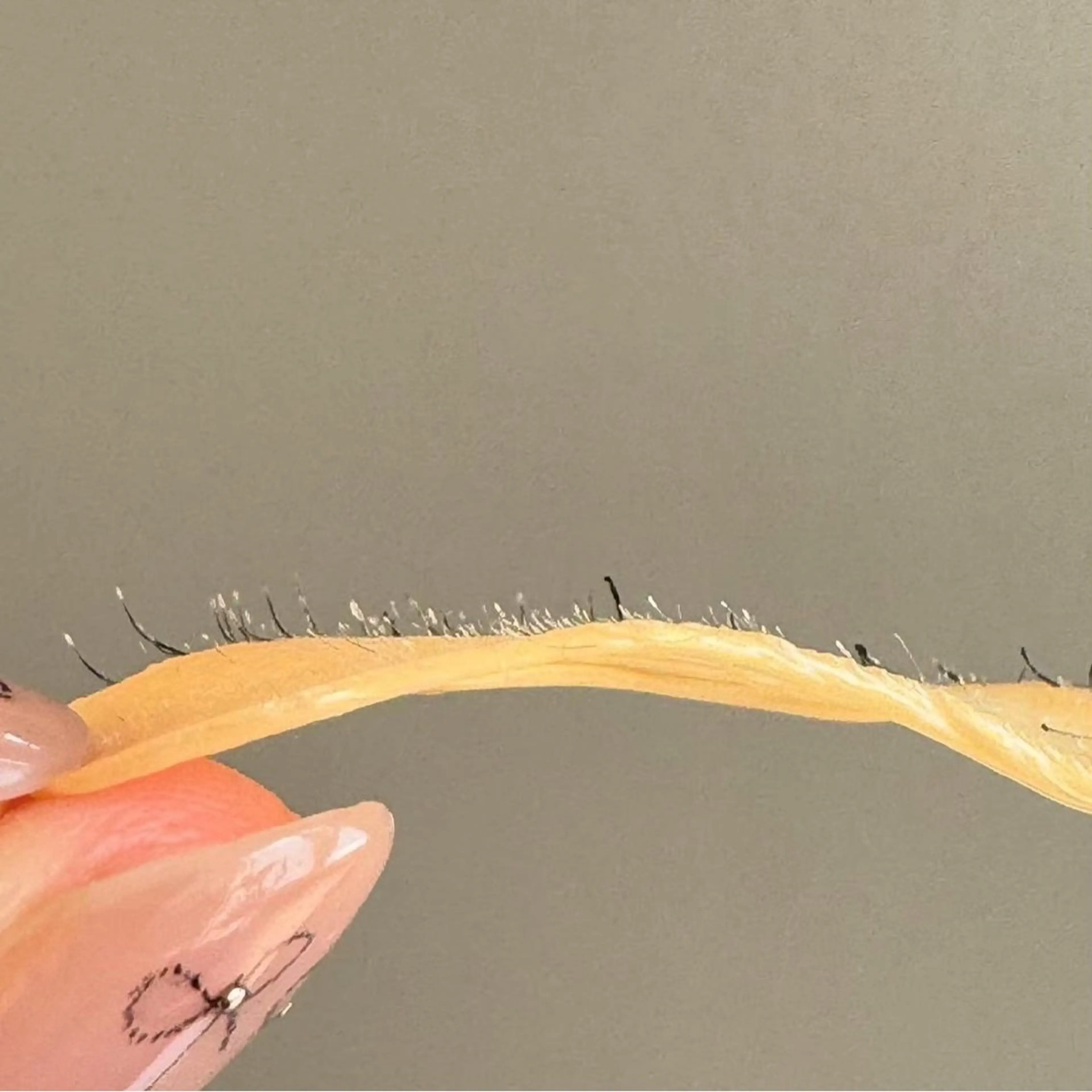 肌が綺麗になるフェイスワックス✨️の写真