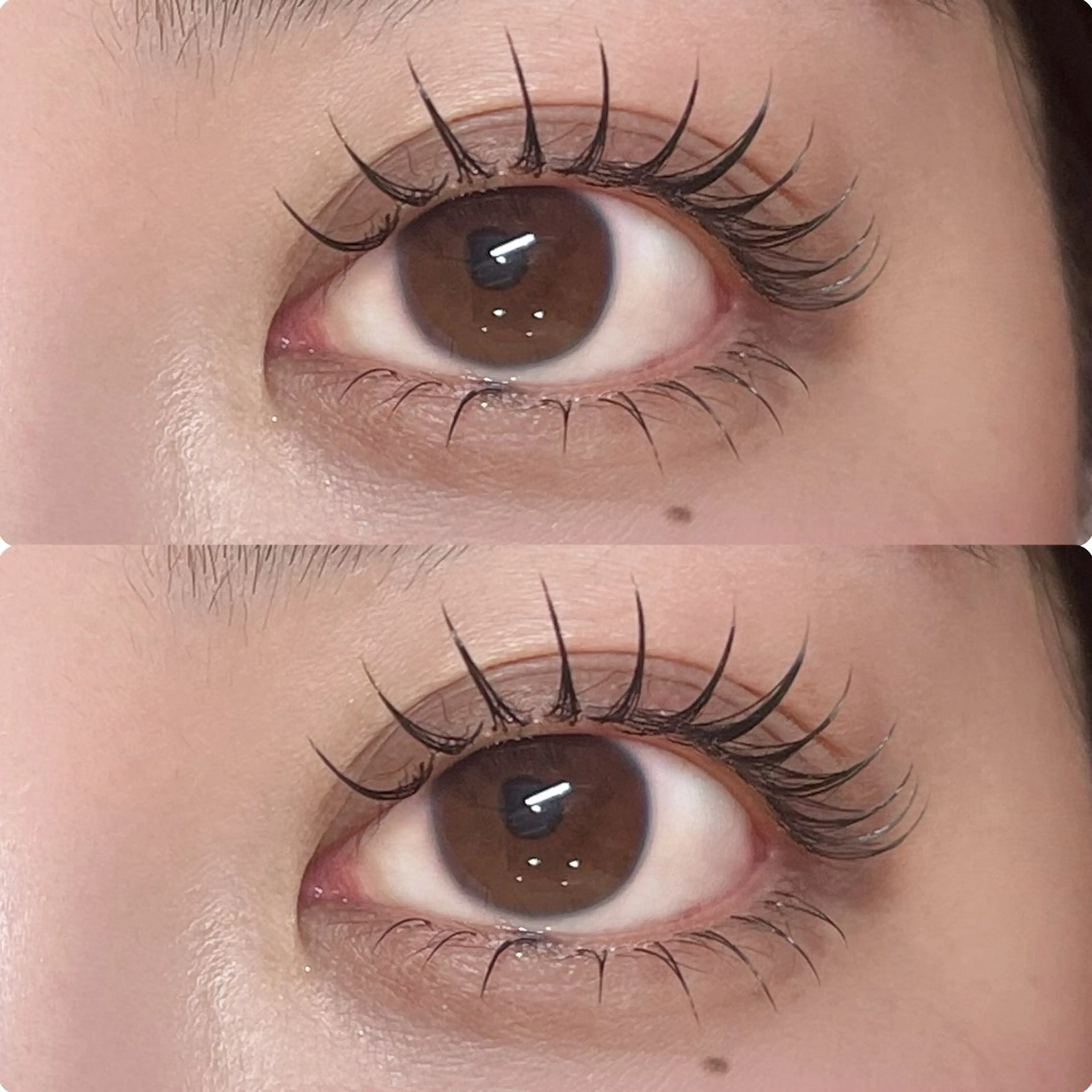 マツエク・マツパ マツエク ROCCO Yukaのマツエク・マツパデザイン