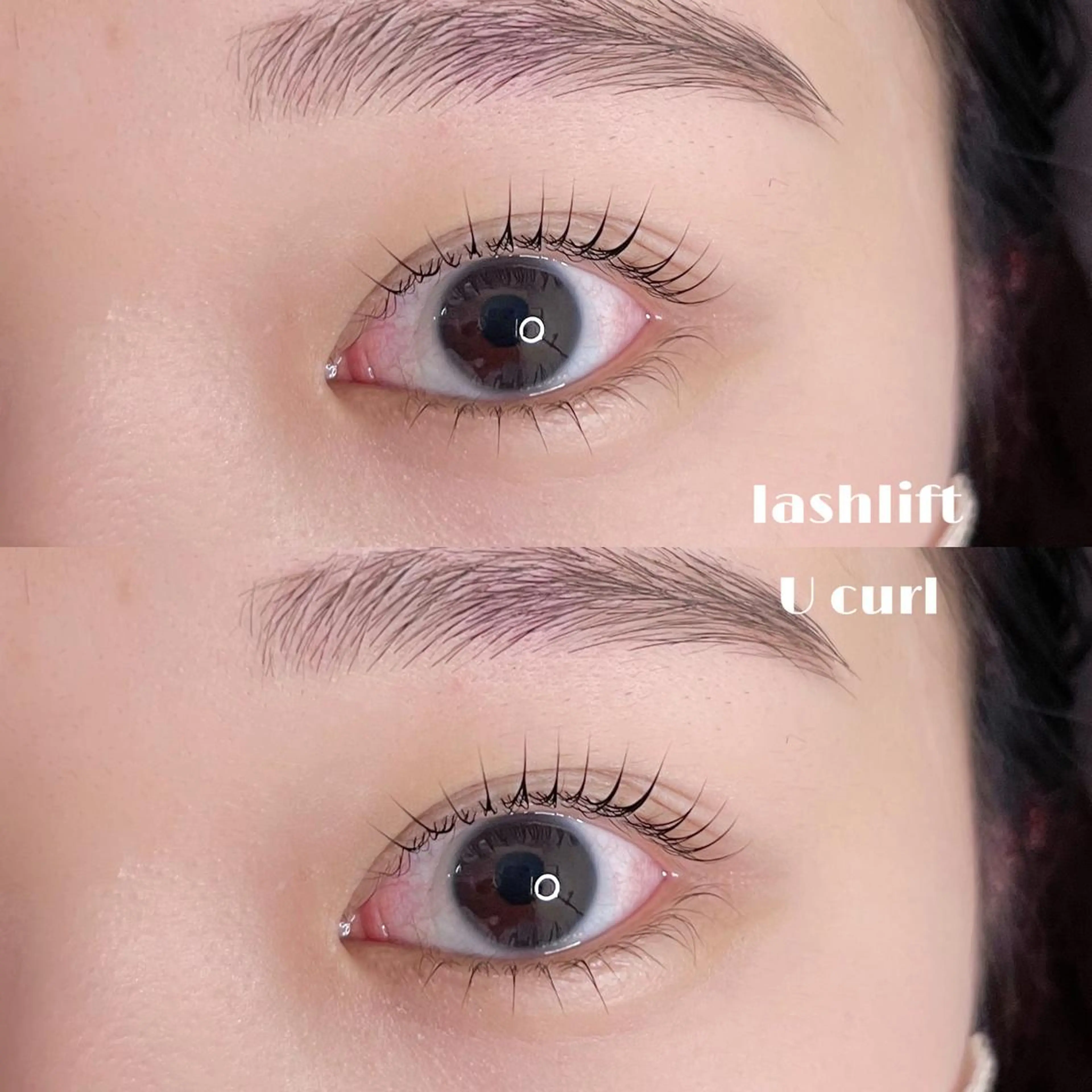 ãããšã¯ã»ããã ææãŸã€æ¯ ããã apt.æå±ã»apt. Arisaã®ãããšã¯ã»ããããã¶ã€ã³