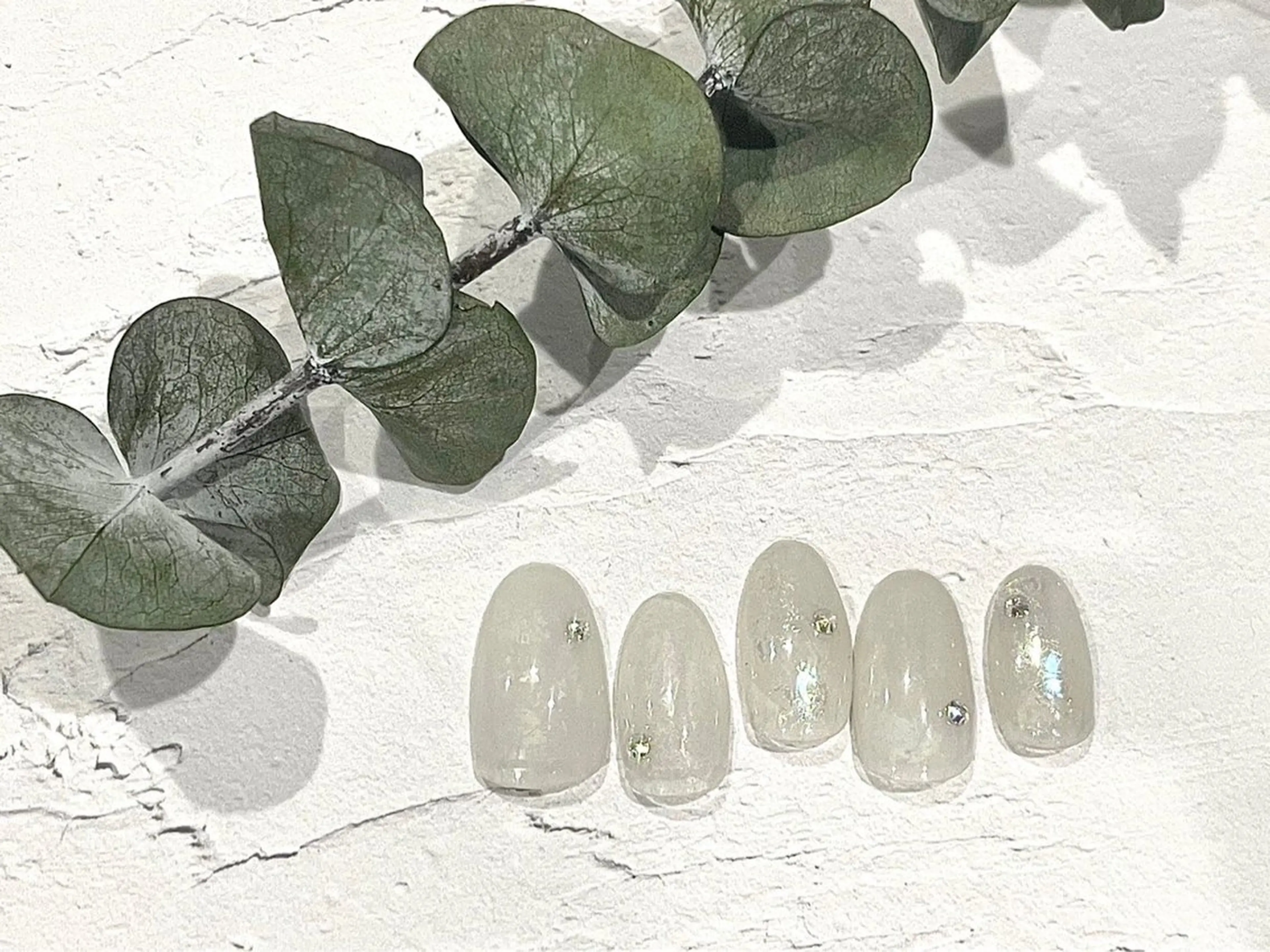 ネイル アートネイル ネイルチップ ⭐︎休業中の練習⭐︎ JNA認定講師髙橋のネイルデザイン