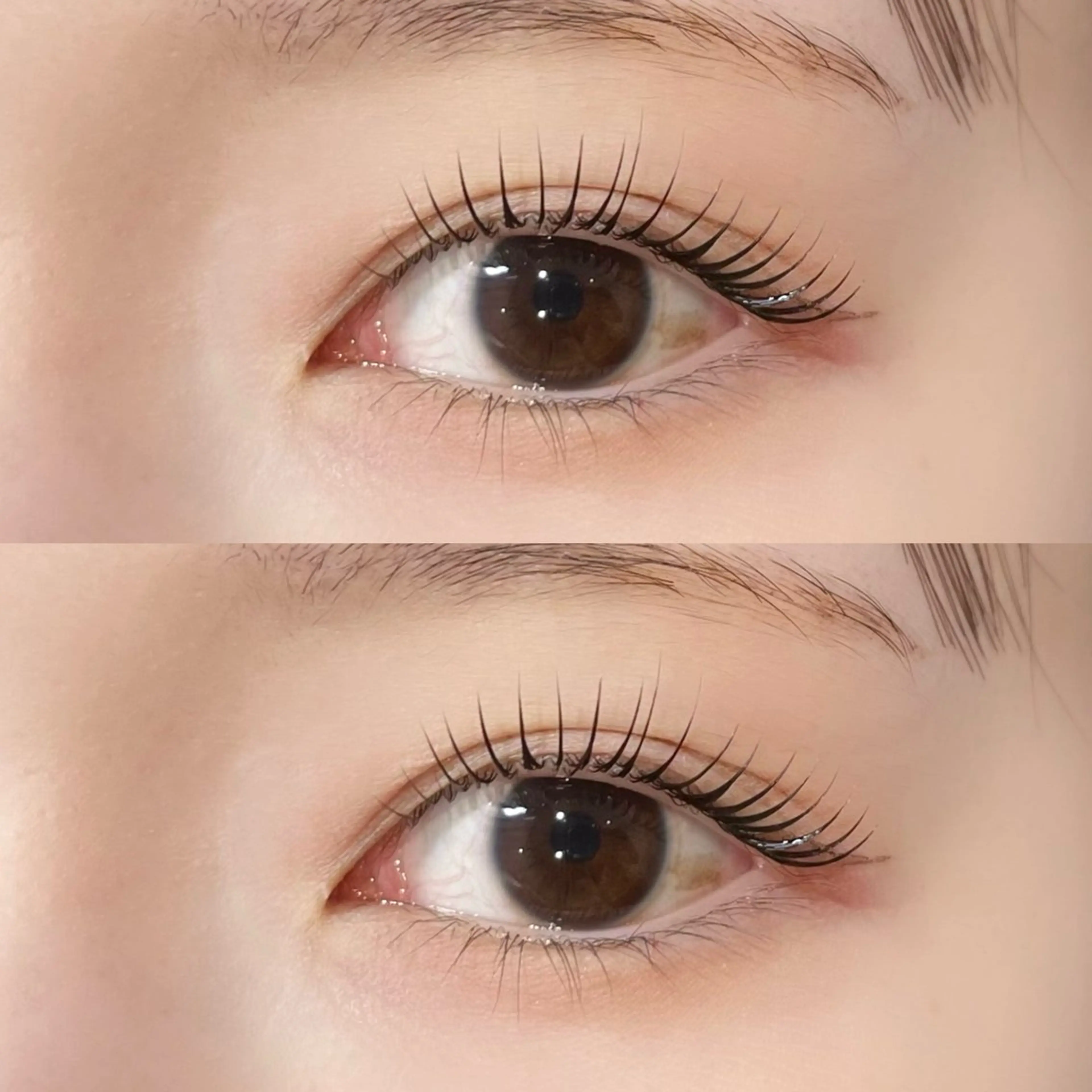 マツエク・マツパ 𝒆𝒊𝒈𝒉𝒕 杏花のマツエク・マツパデザイン