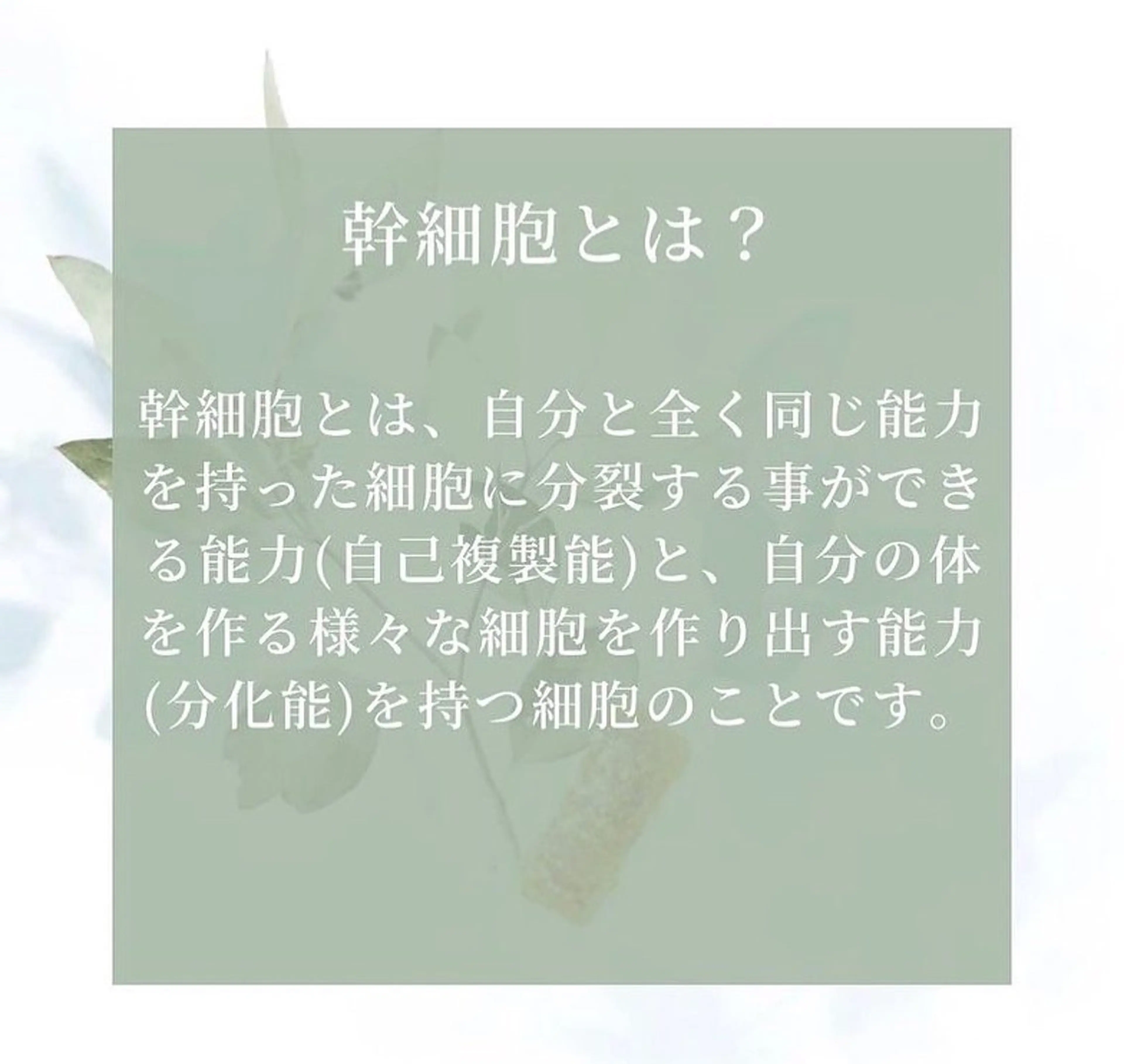 エステ きよら ビューティーラウンジのエステ・リラクイメージ