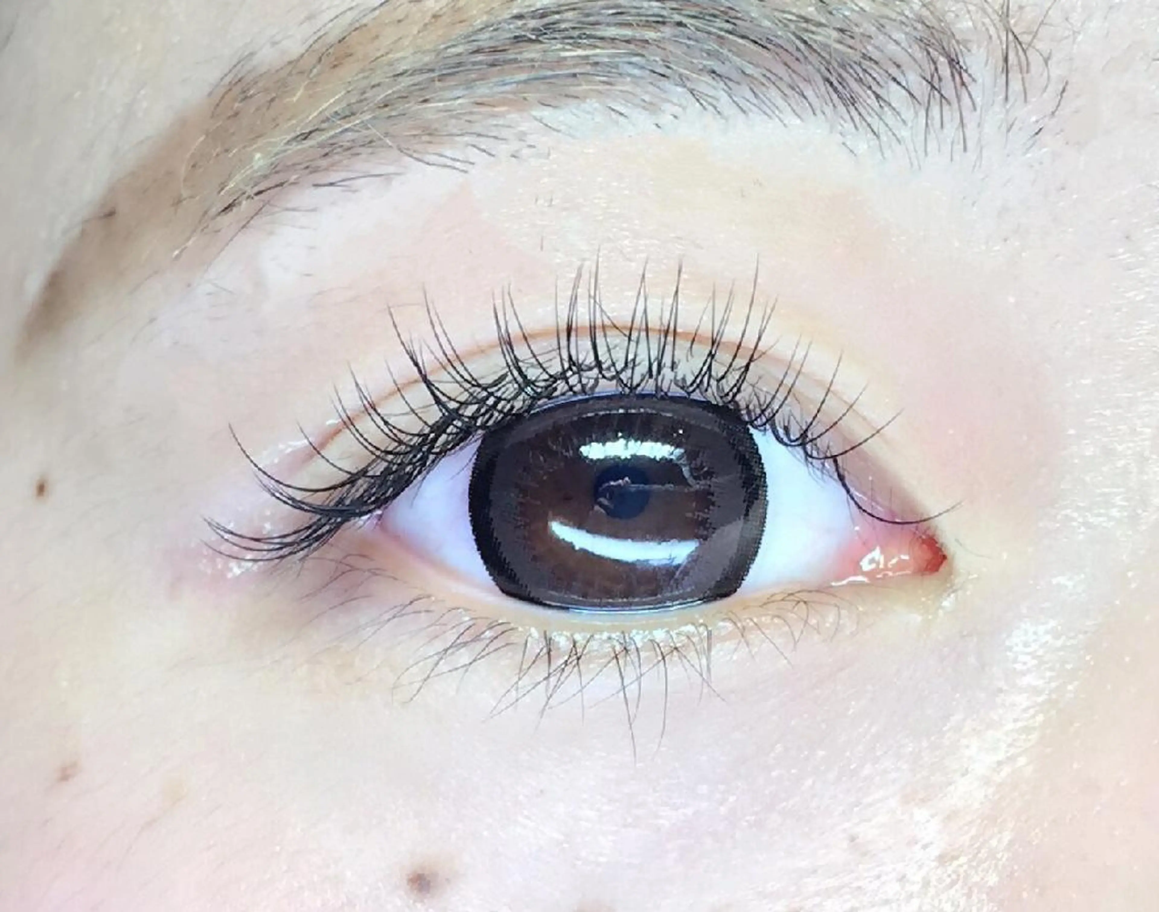 マツエク・マツパ セーブル マツエク iji ‪ ̖́-‬のマツエク・マツパデザイン