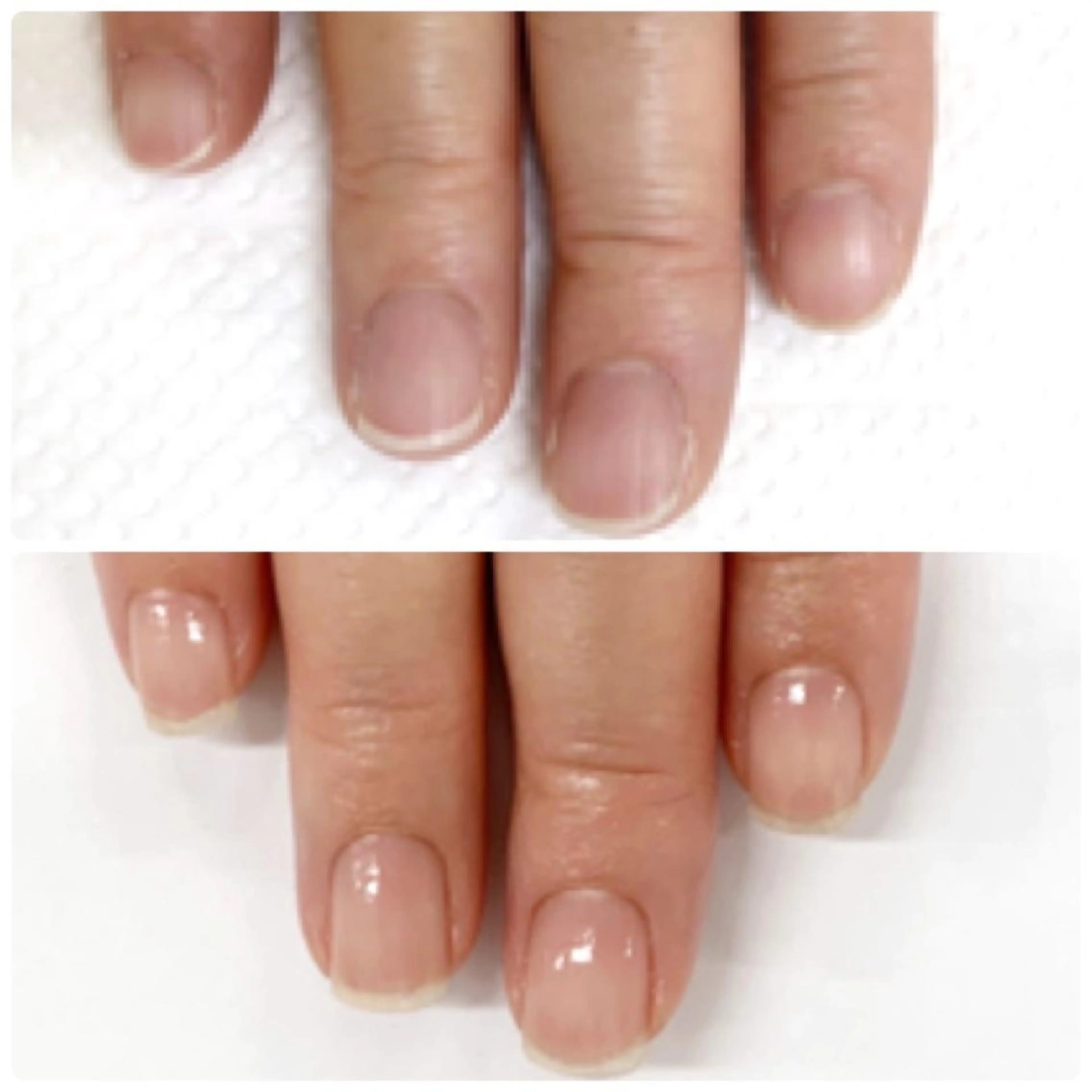 ネイル Fine Valentのマツエク・マツパデザイン