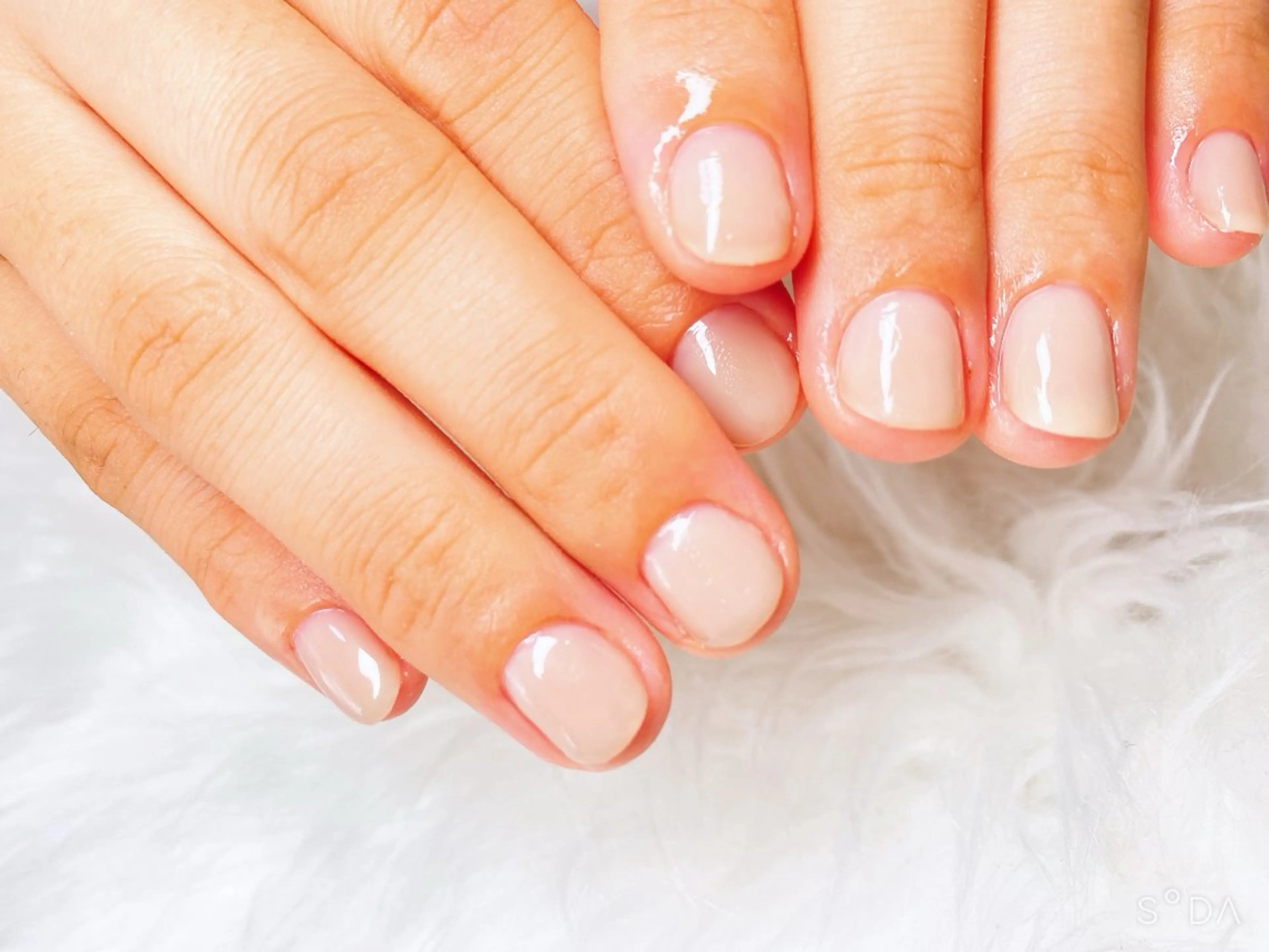 ネイル Theネイルサロン所属・The ネイルサロンのネイルデザイン