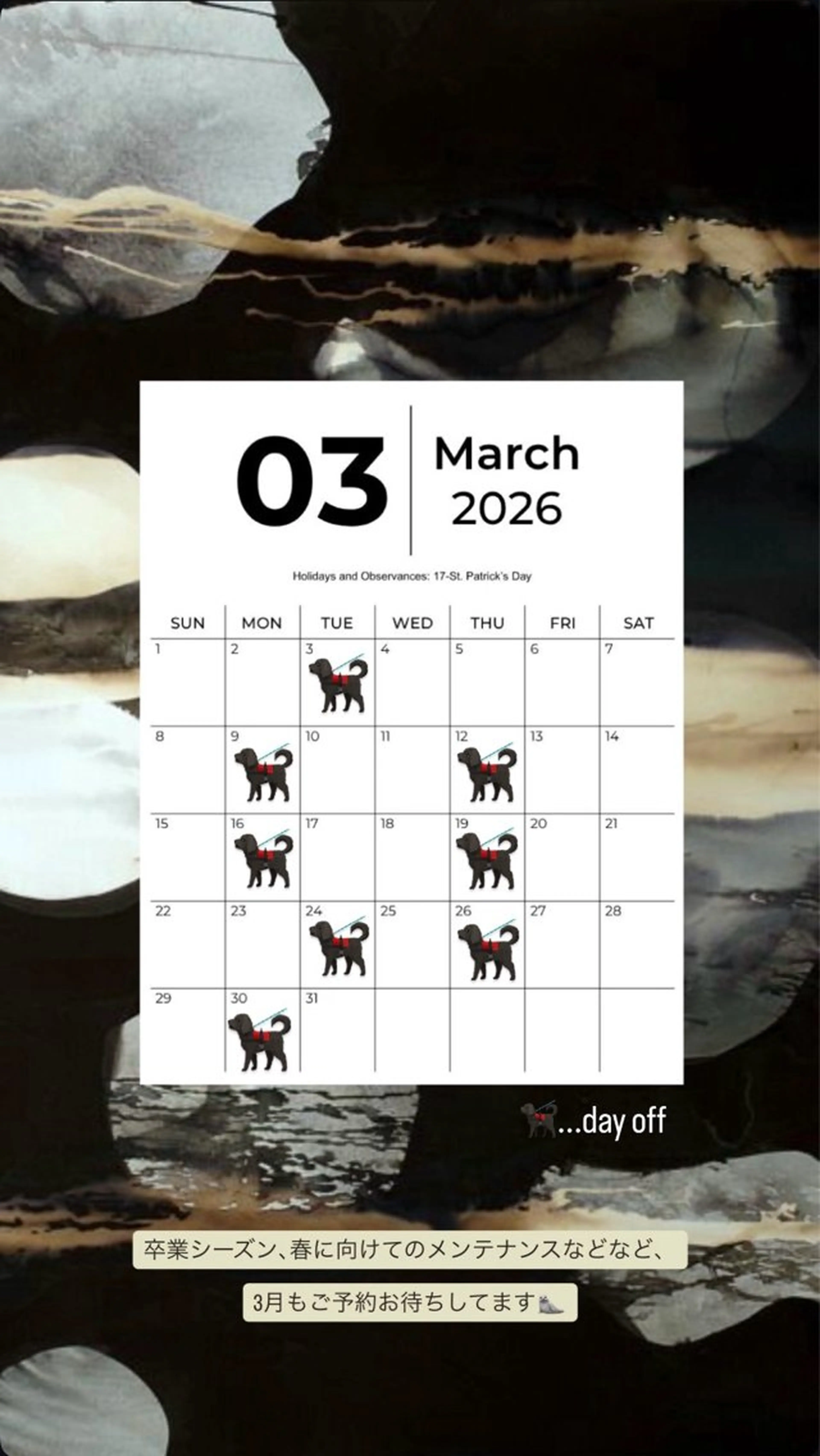 koiki🪿 ナチュラルニュアンスのヘアスタイル