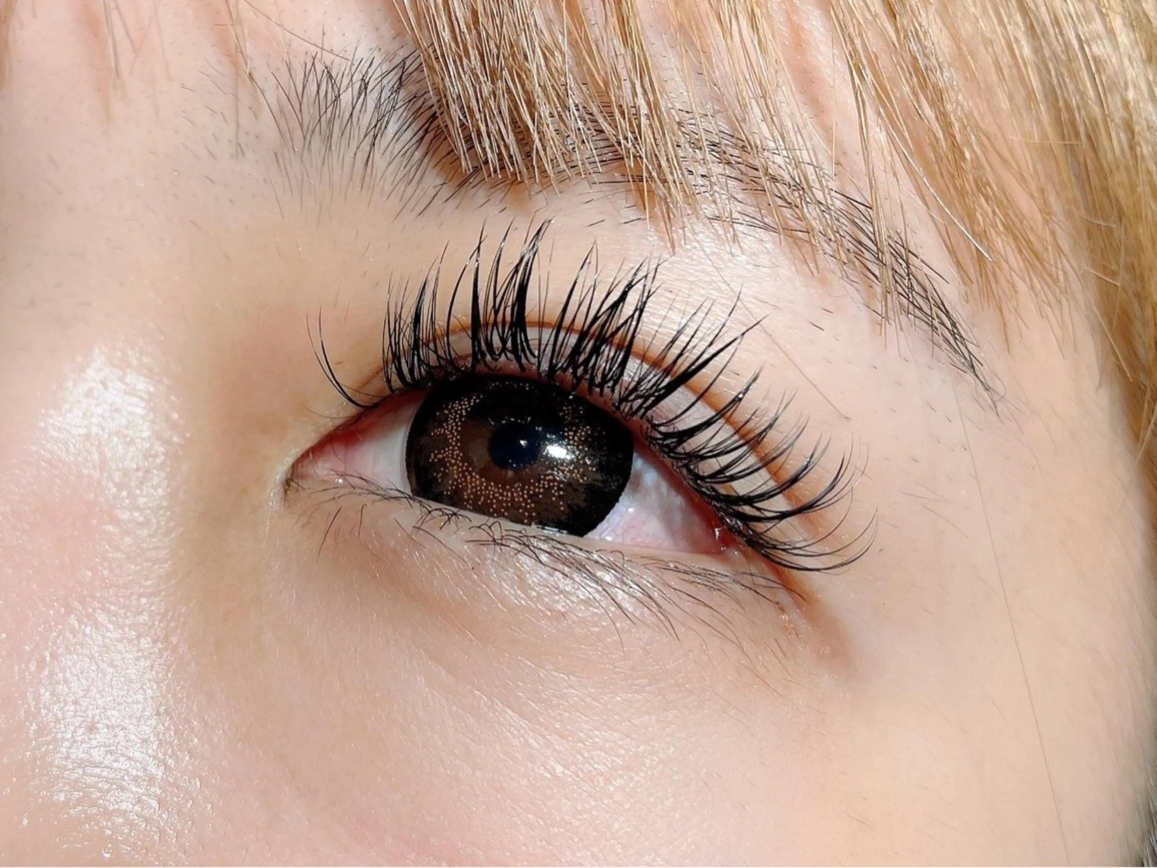 マツエク・マツパ ボリュームラッシュ マツパ rune.🌼 kinoshitaのマツエク・マツパデザイン