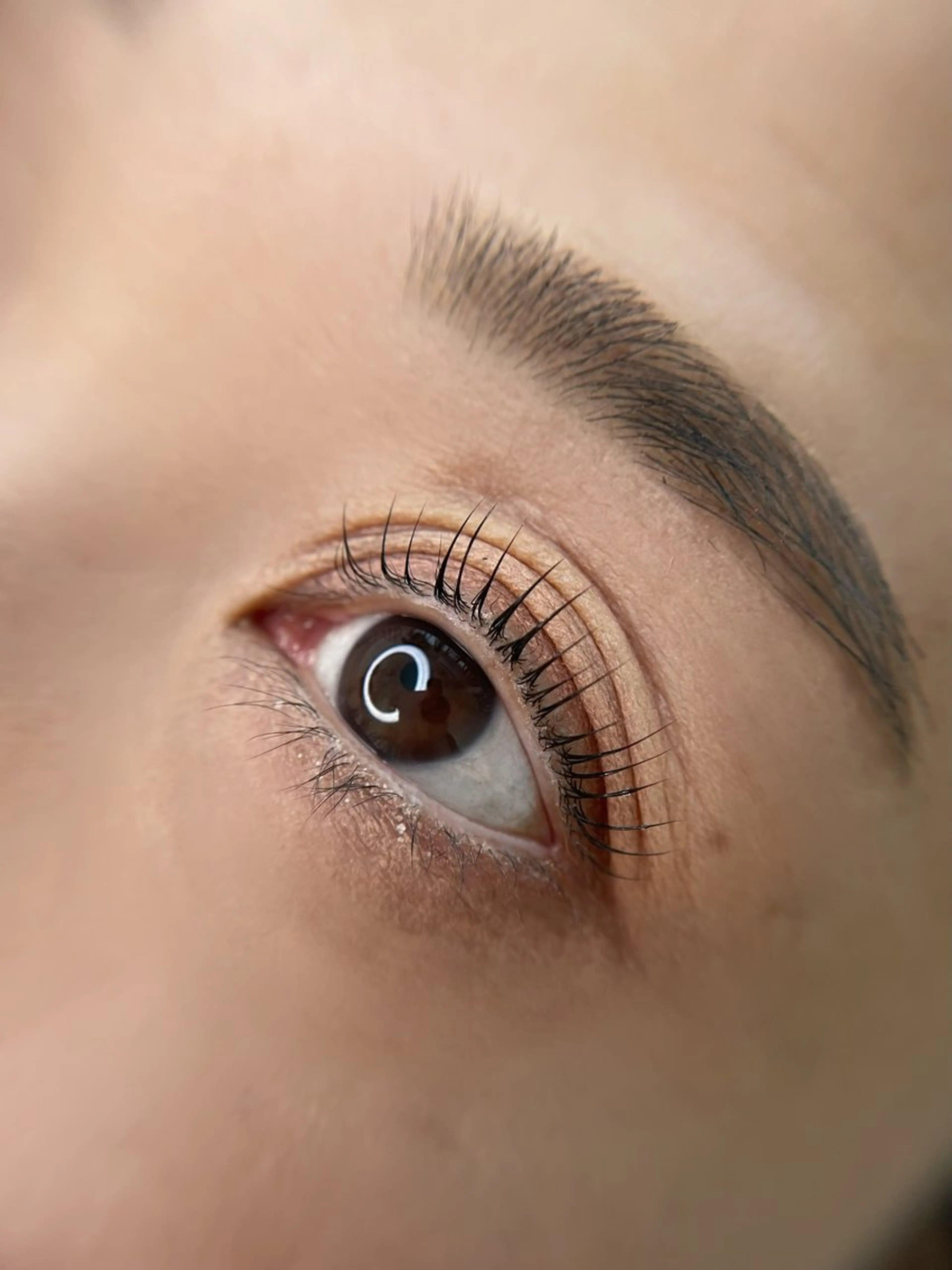 ãããšã¯ã»ããã Lianæå±ã»ãðð¢ðð§ã ðð¢ðšã®ãããšã¯ã»ããããã¶ã€ã³