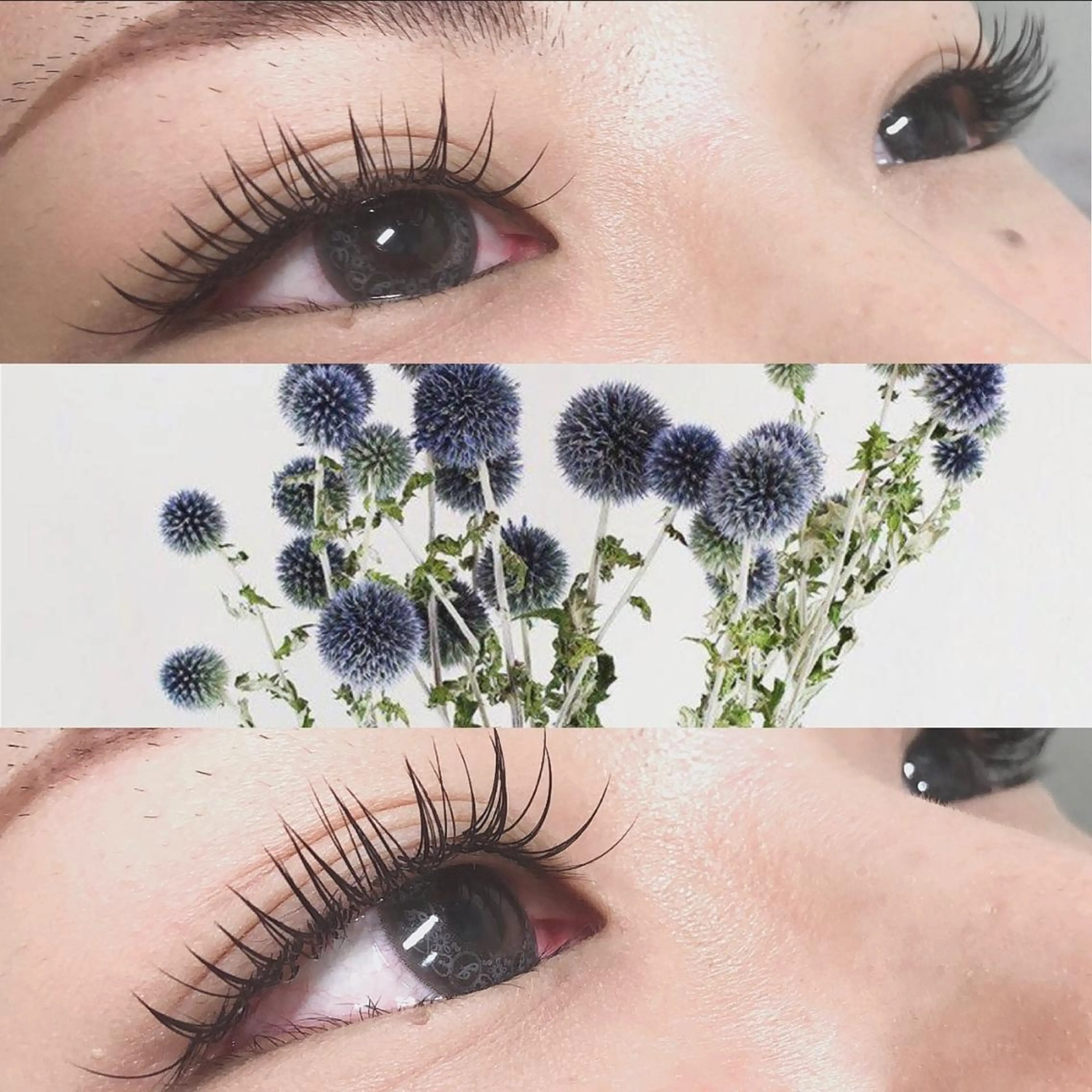 マツエク・マツパ カラーマツエク Eyelash 🎀 𝐀𝐲𝐮𝐦𝐢のマツエク・マツパデザイン