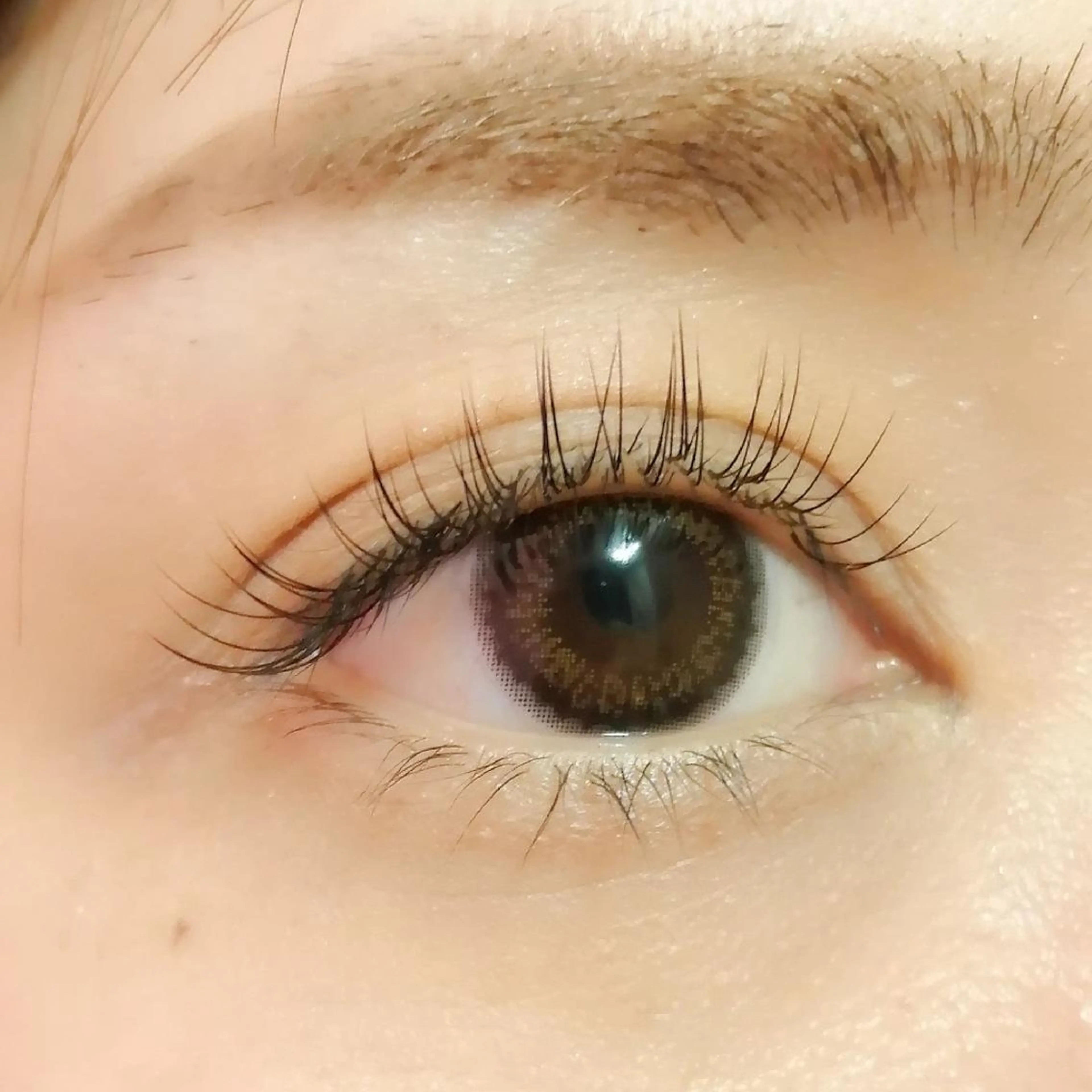 カラー マツエク・マツパ ROSIE yのマツエク・マツパデザイン