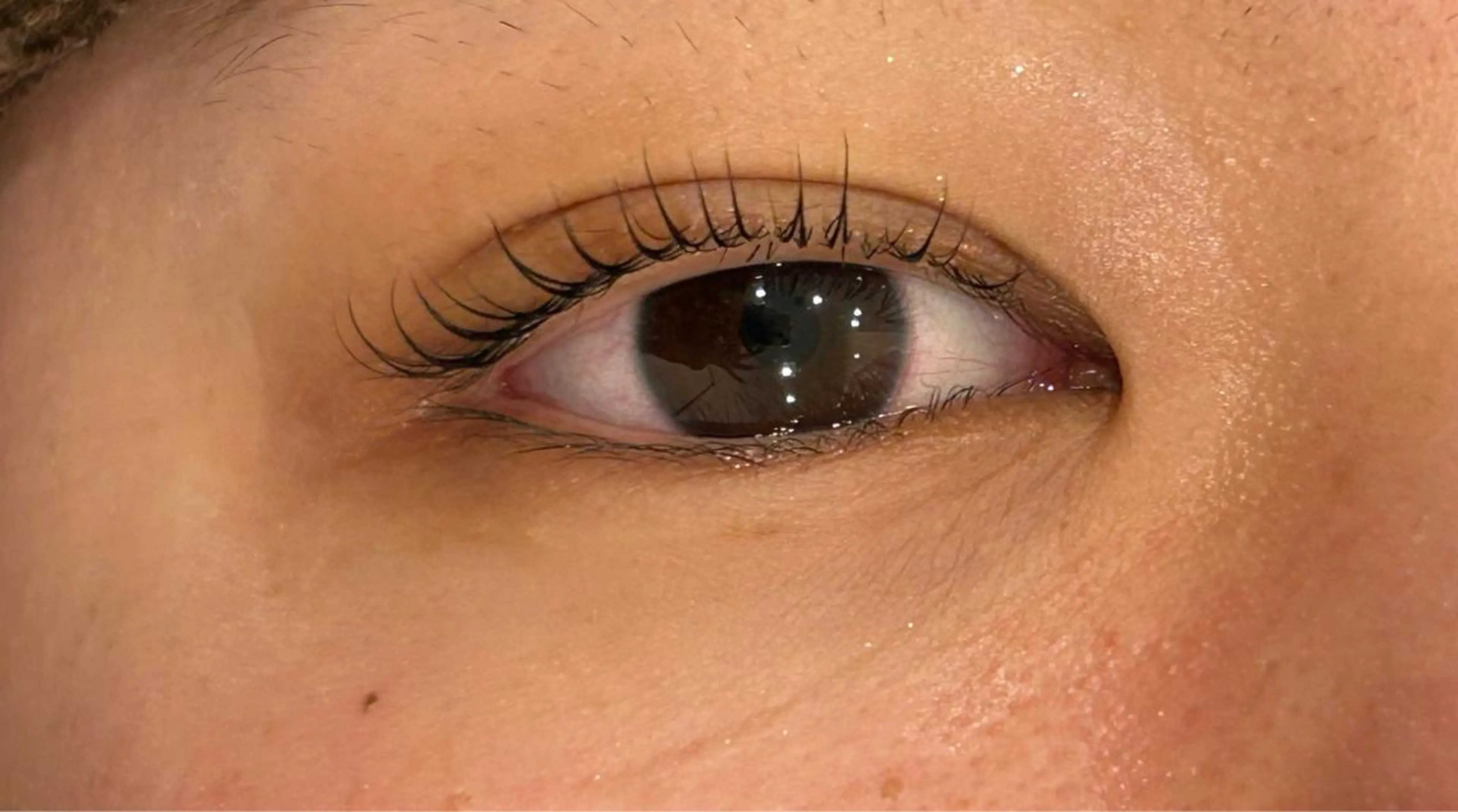 マツエク・マツパ 一重×まつ毛パーマ ニコットラッシュ 京橋店のマツエク・マツパデザイン