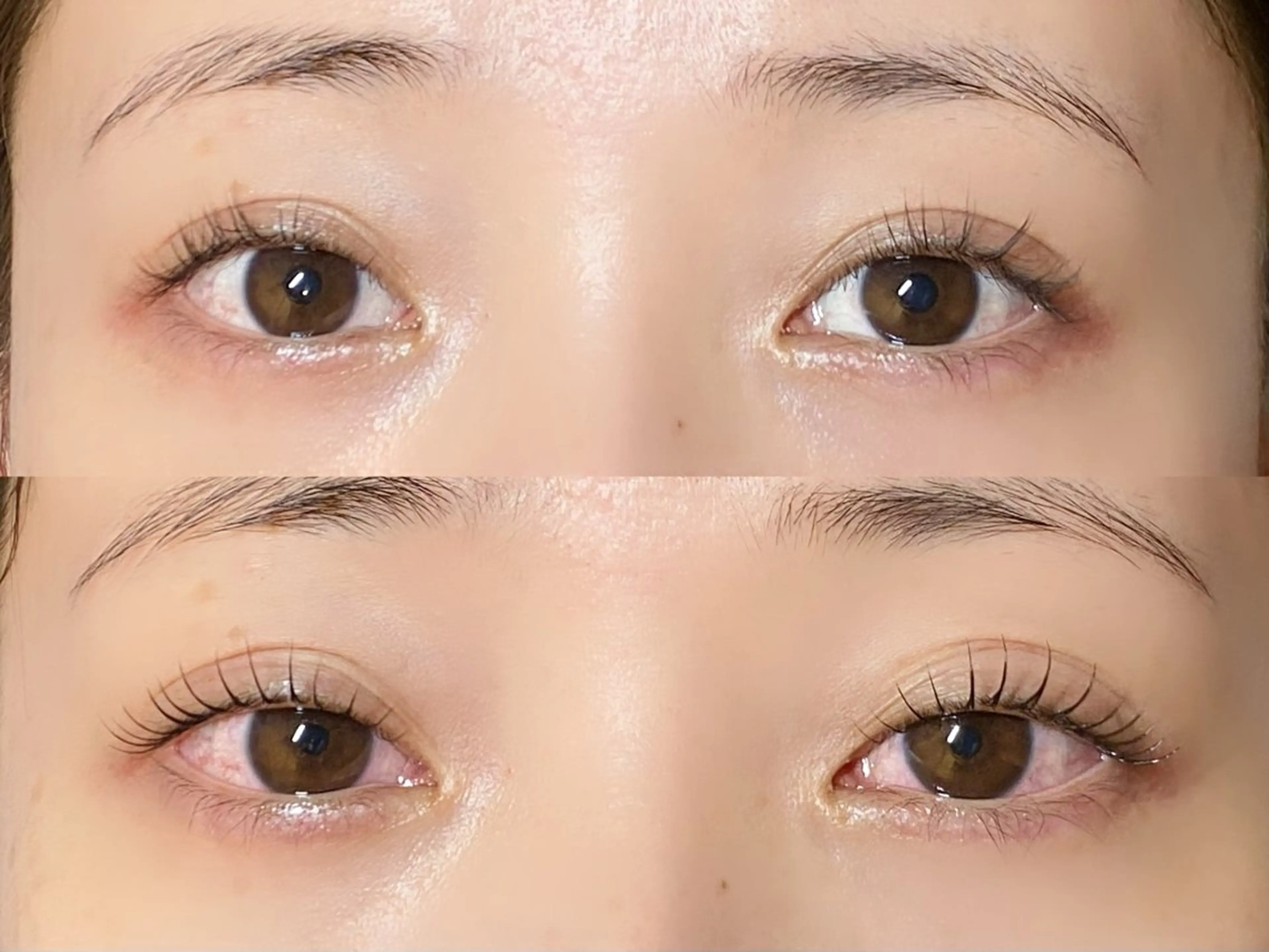 マツエク・マツパ maison/ aya◡̈の眉毛・アイブロウイメージ