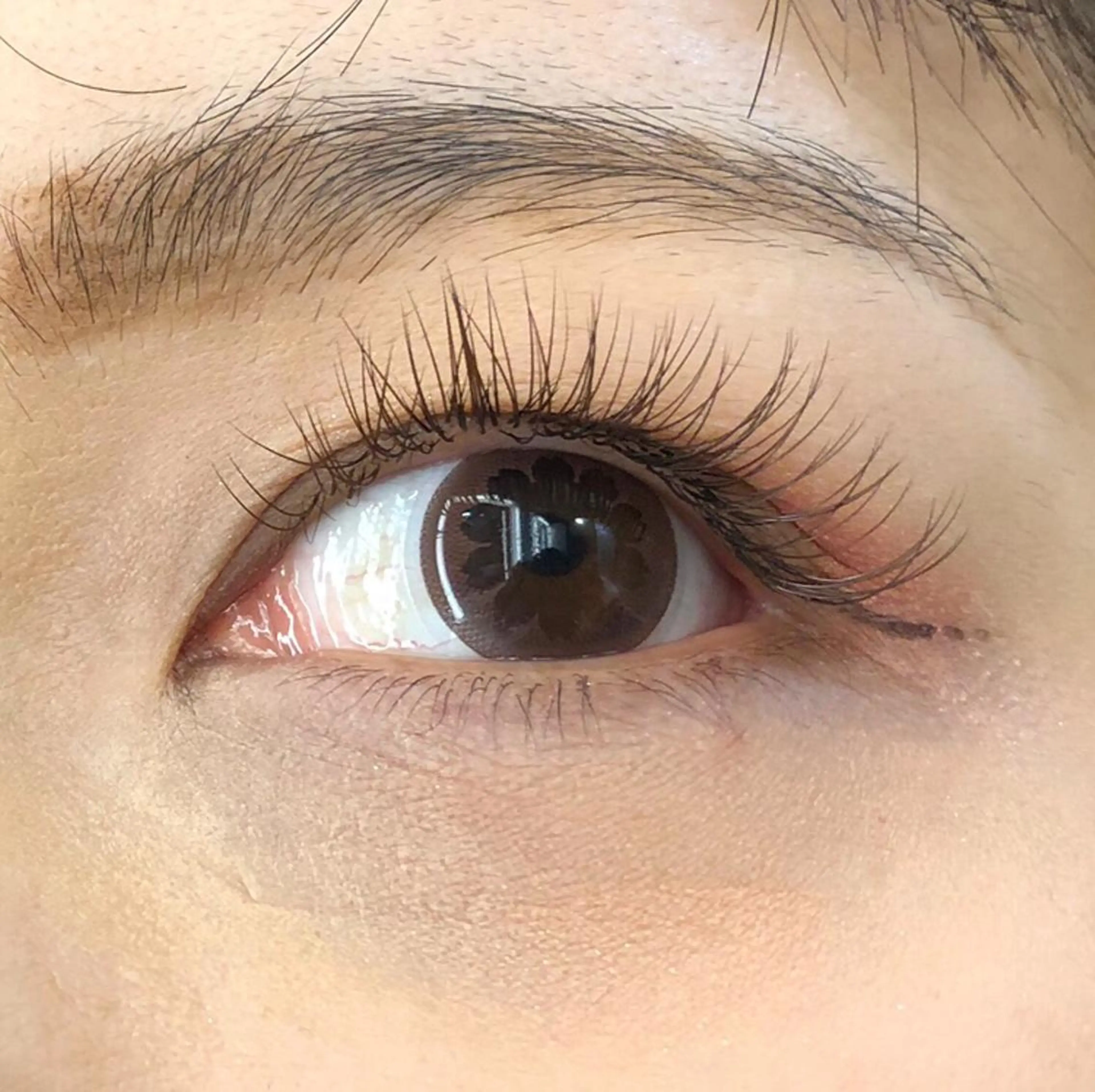 マツエク・マツパ カラーマツエク セクシー 眉毛専門店brow art上野店 阿部の眉毛・アイブロウイメージ