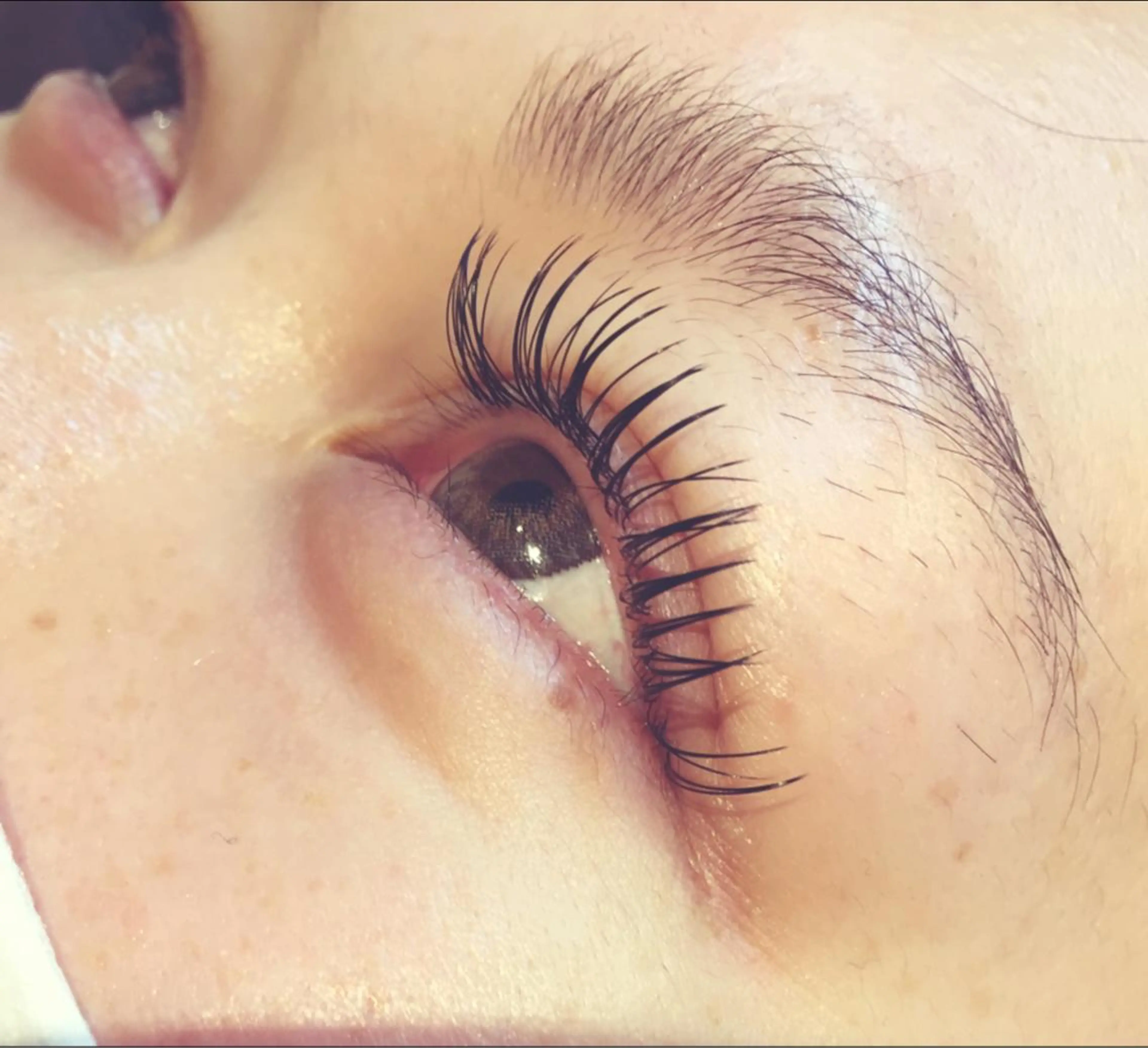 マツエク・マツパ Cカール フラットラッシュ Ai Quick 増田のマツエク・マツパデザイン