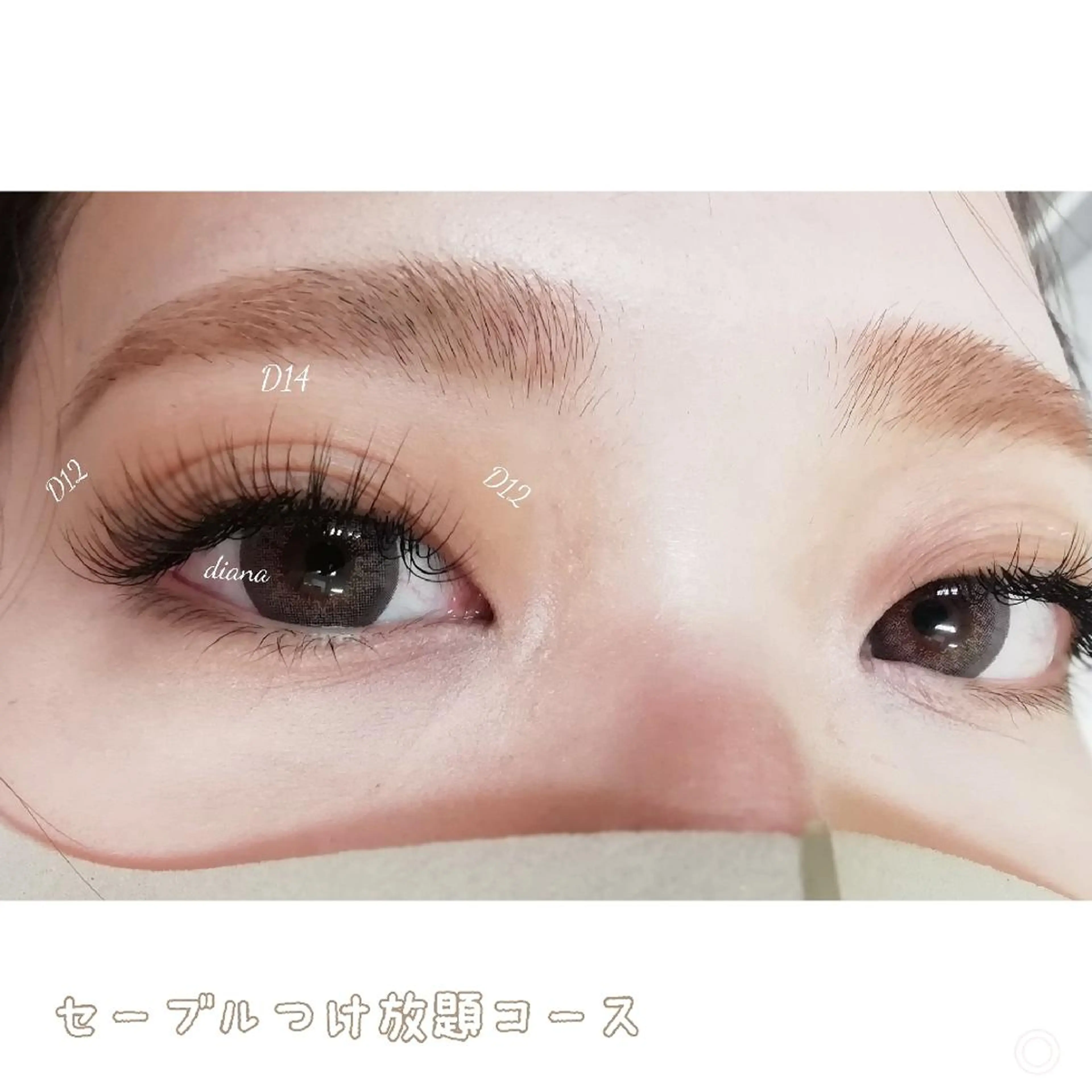 マツエク・マツパ 付け放題 セーブル ディアナ 水戸元吉田店　青柳のマツエク・マツパデザイン