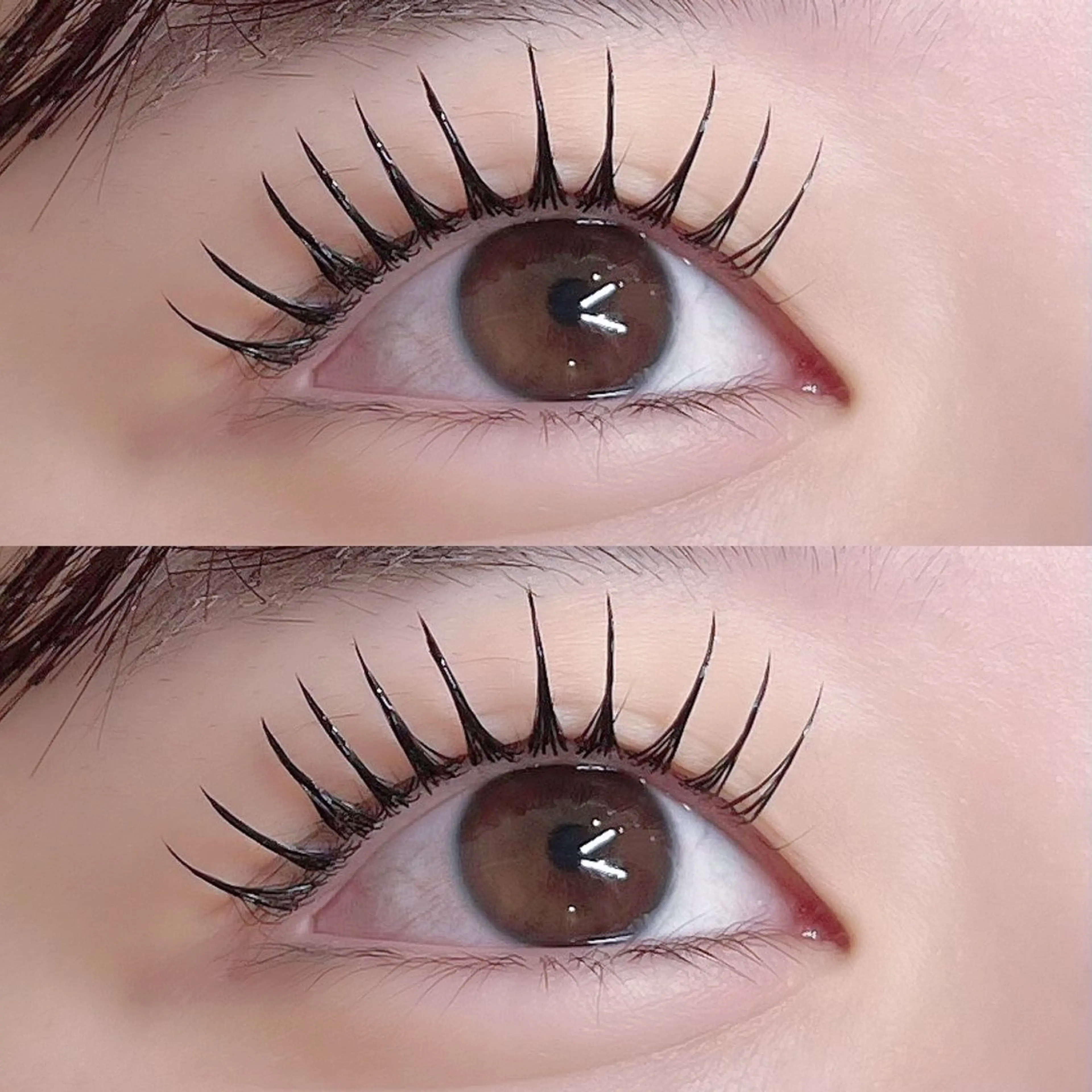 マツエク・マツパ まつげパーマ マツパ Pupu lash  𓃱𓂃のその他イメージ