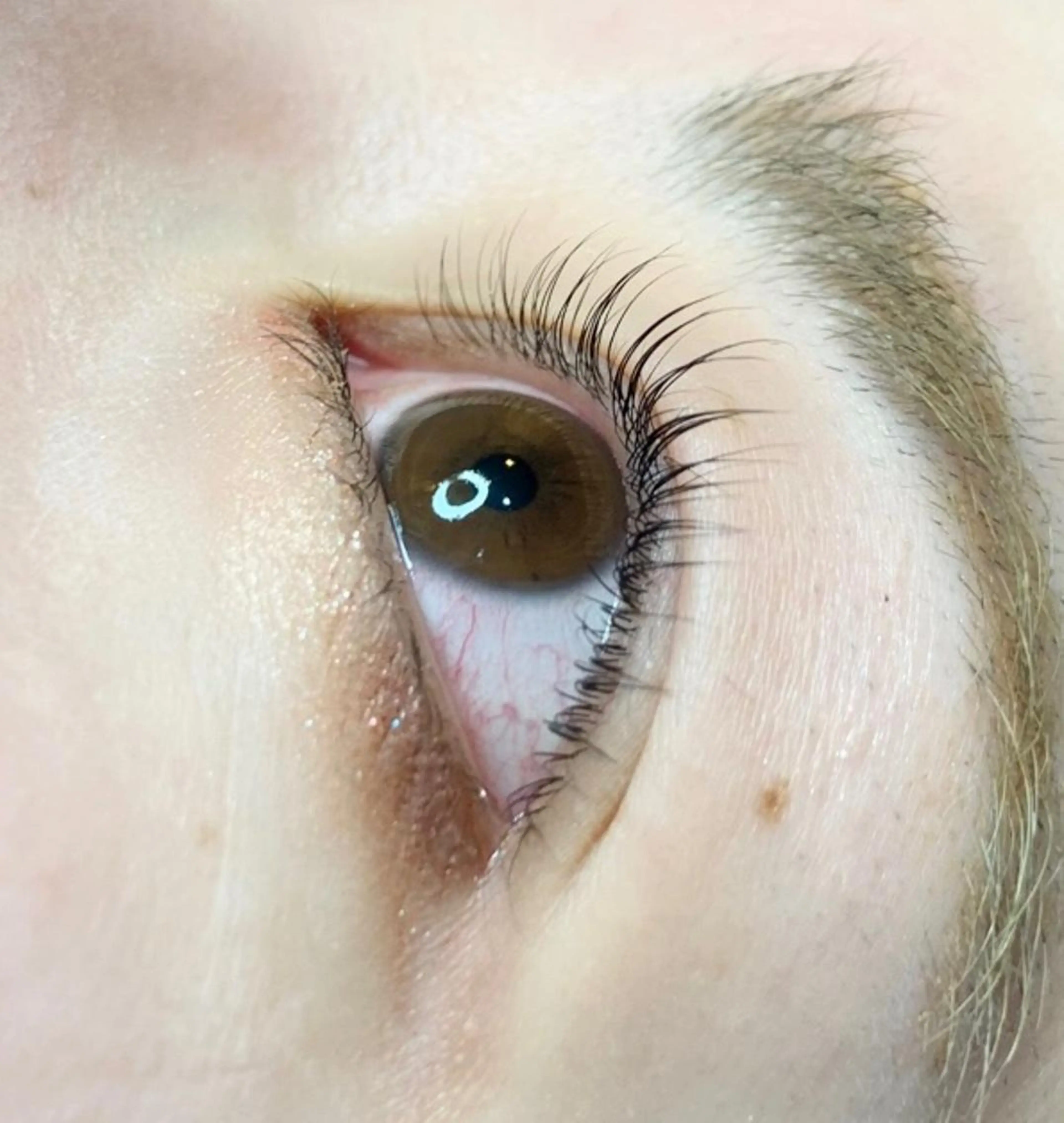 マツエク・マツパ ナチュラル まつげパーマ マツパ Oyama Wakanaのマツエク・マツパデザイン