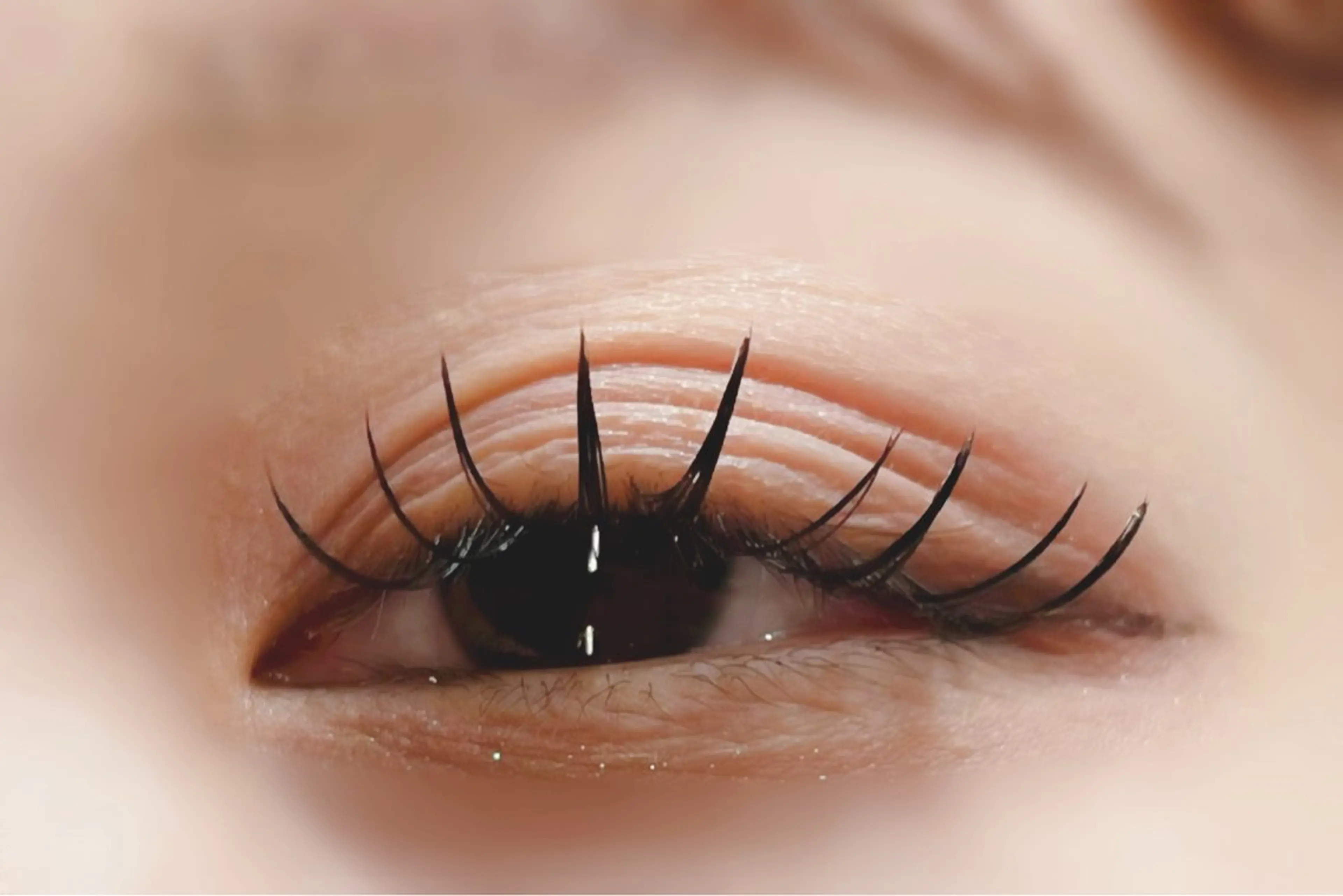 マツエク・マツパ マツエク 🪼ひとみ🪼半個室 Amour菊川店のマツエク・マツパデザイン