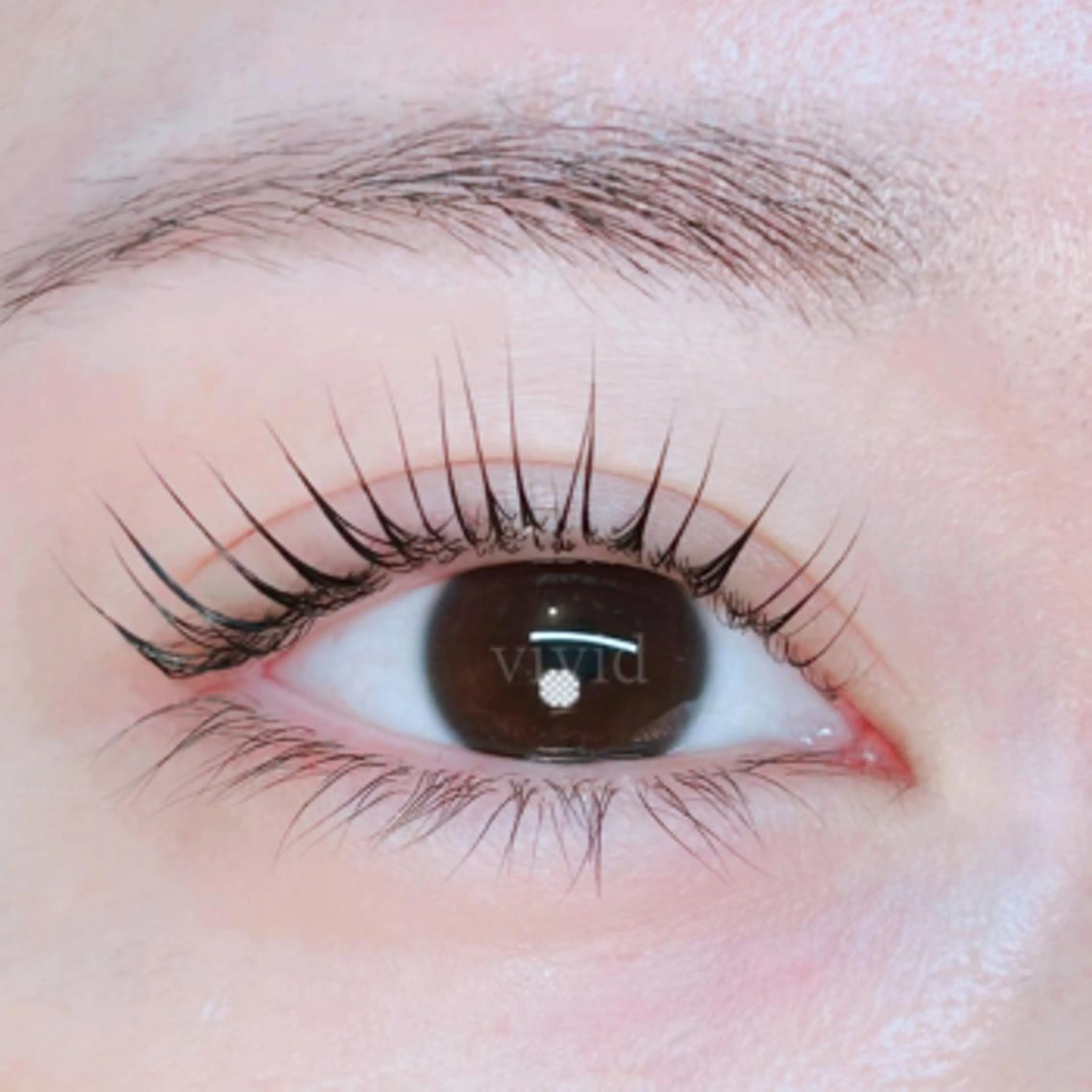 マツエク・マツパ vividビビッド 門前仲町店のマツエク・マツパデザイン