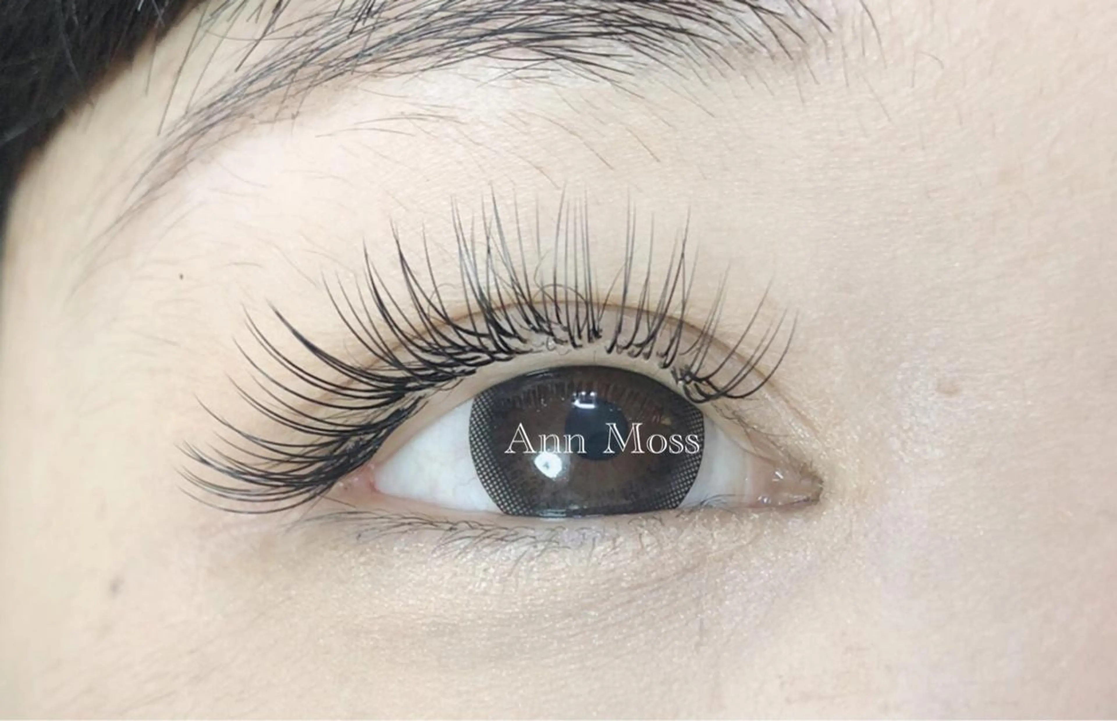 マツエク・マツパ CCカール Cカール 無料モデル募集中 Ann Mossのマツエク・マツパデザイン