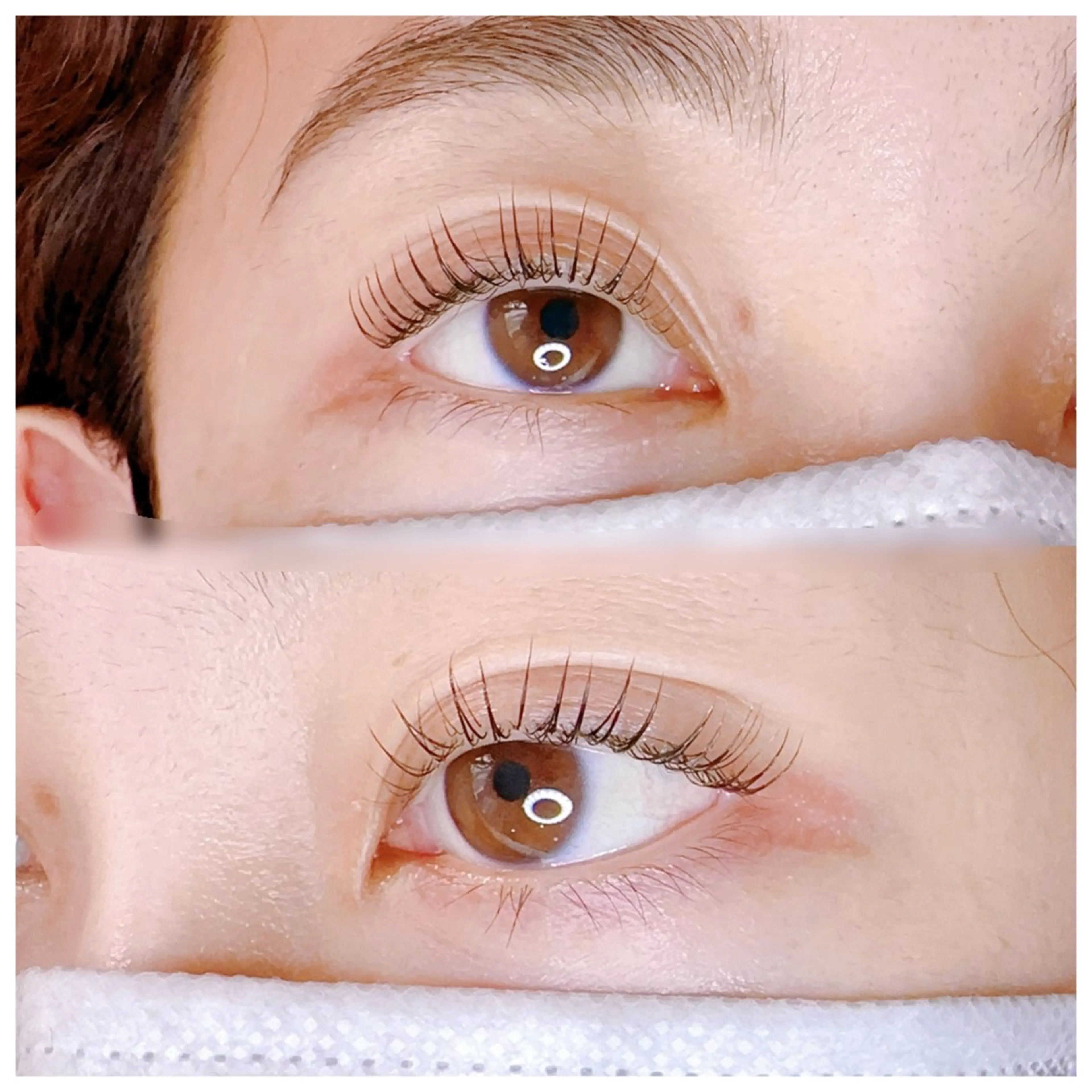 ティントトリートメント　上マツゲ　エクステオフ＋¥500の写真