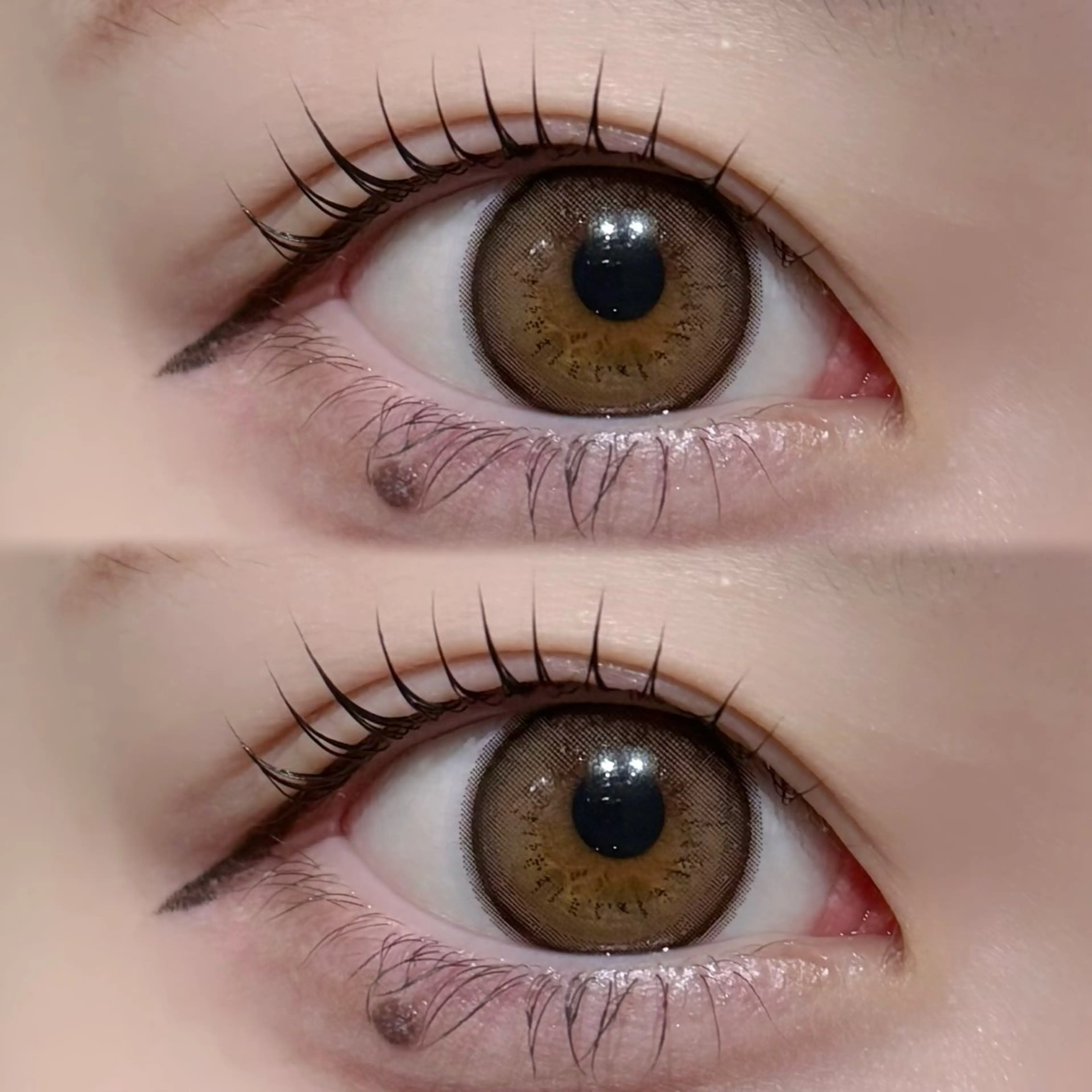 🎀パリジェンヌ上🎀の写真