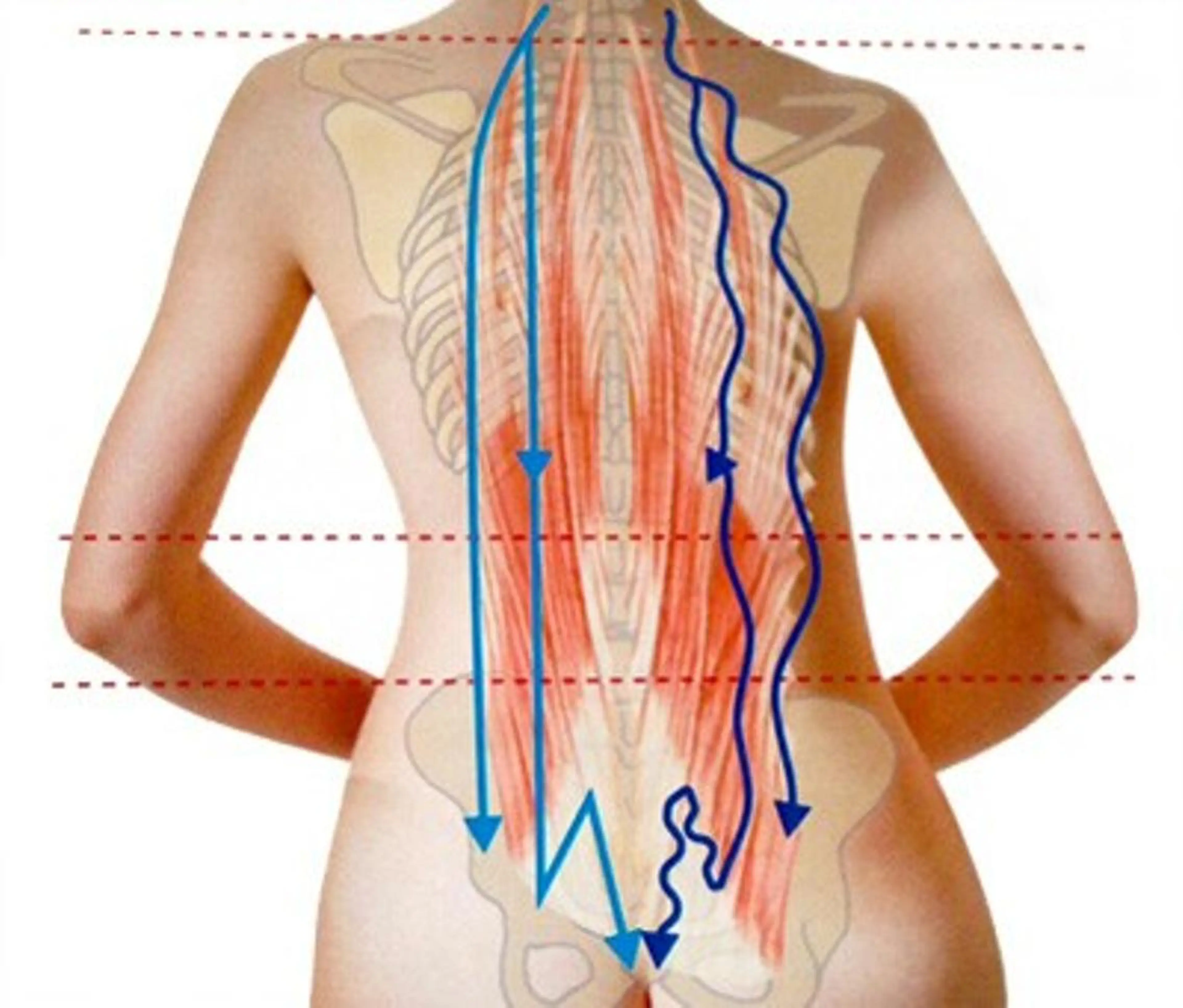 ☺ハーブピール💕 ソフィアカロン💖のエステ・リラクイメージ