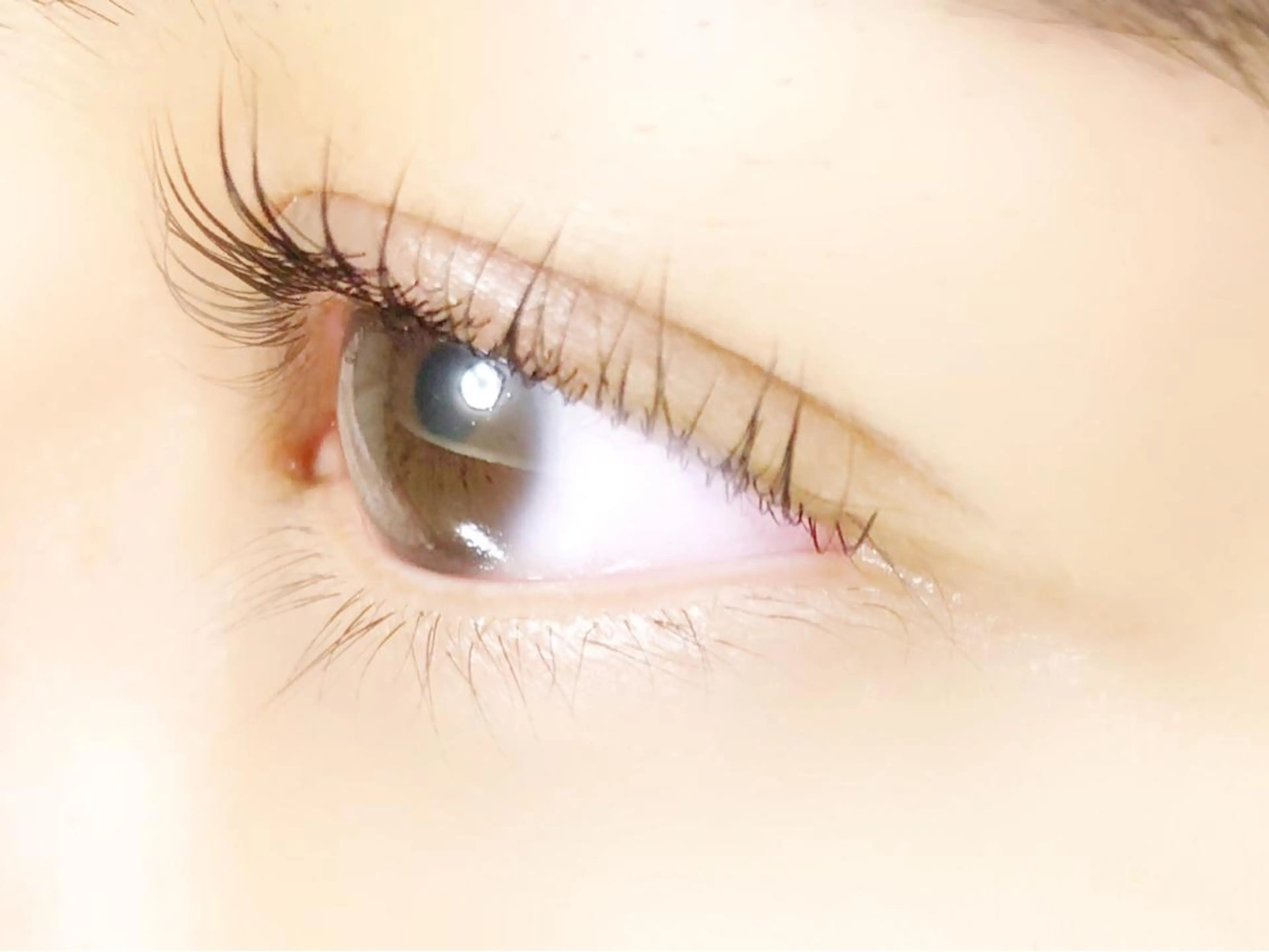 マツエク・マツパ 一重×まつ毛パーマ マツパ RAZZLE DAZZLEのマツエク・マツパデザイン