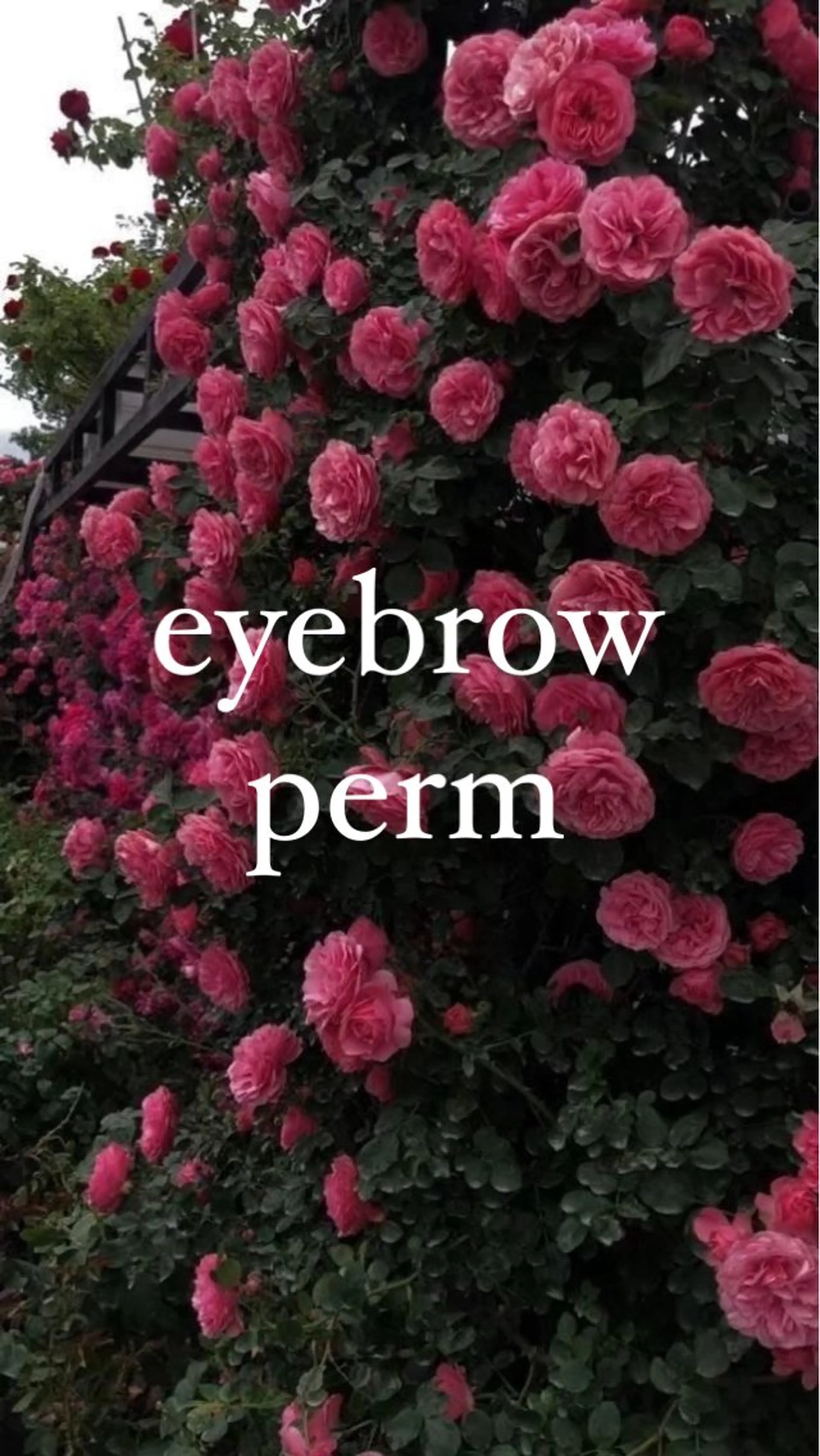 アイブロウ 眉毛専門luuna SARA🌙の眉毛・アイブロウイメージ