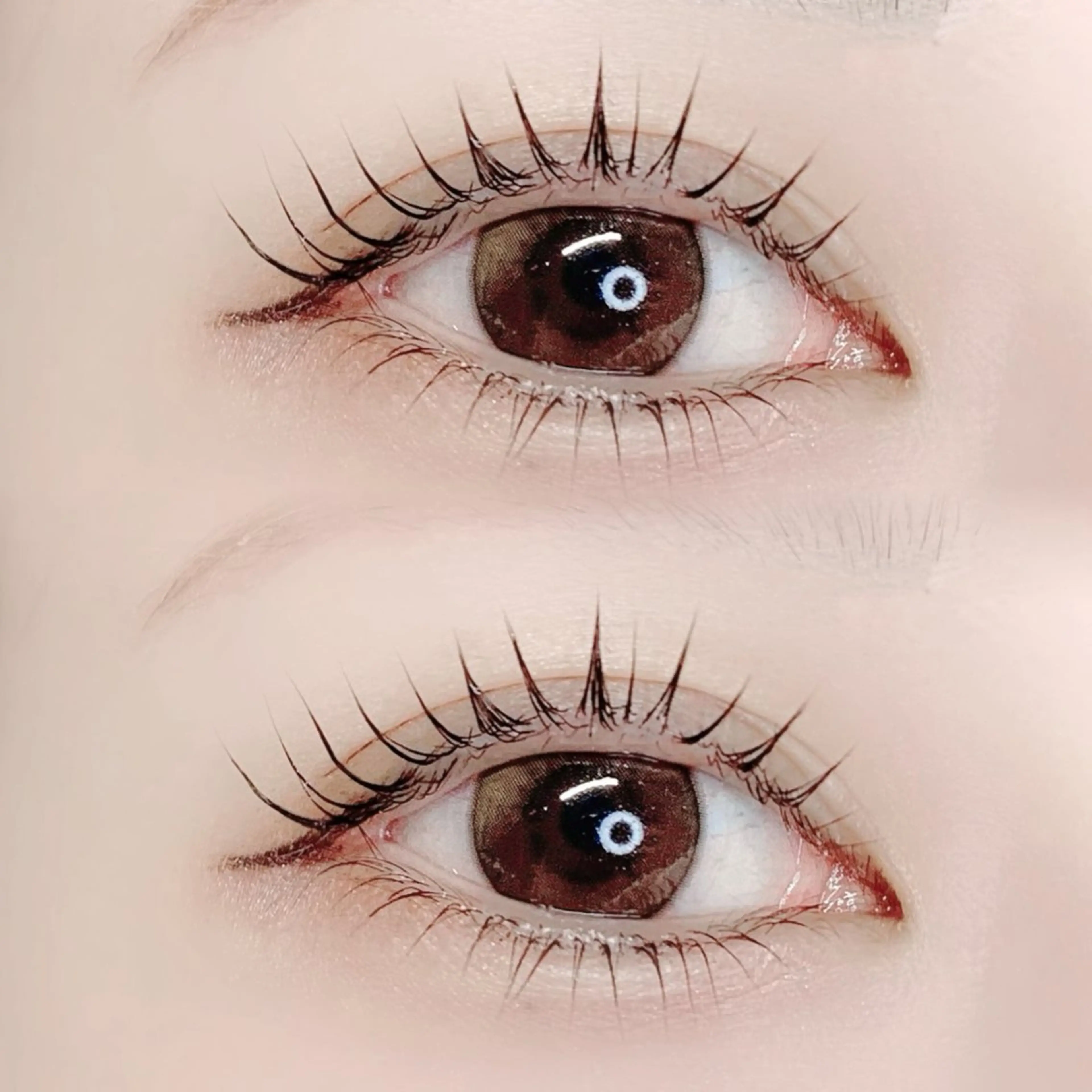 【ご新規様限定】⭐人気No.2｜上下ラッシュリフト / 上下パリジェンヌ｜コーティング仕上げの写真