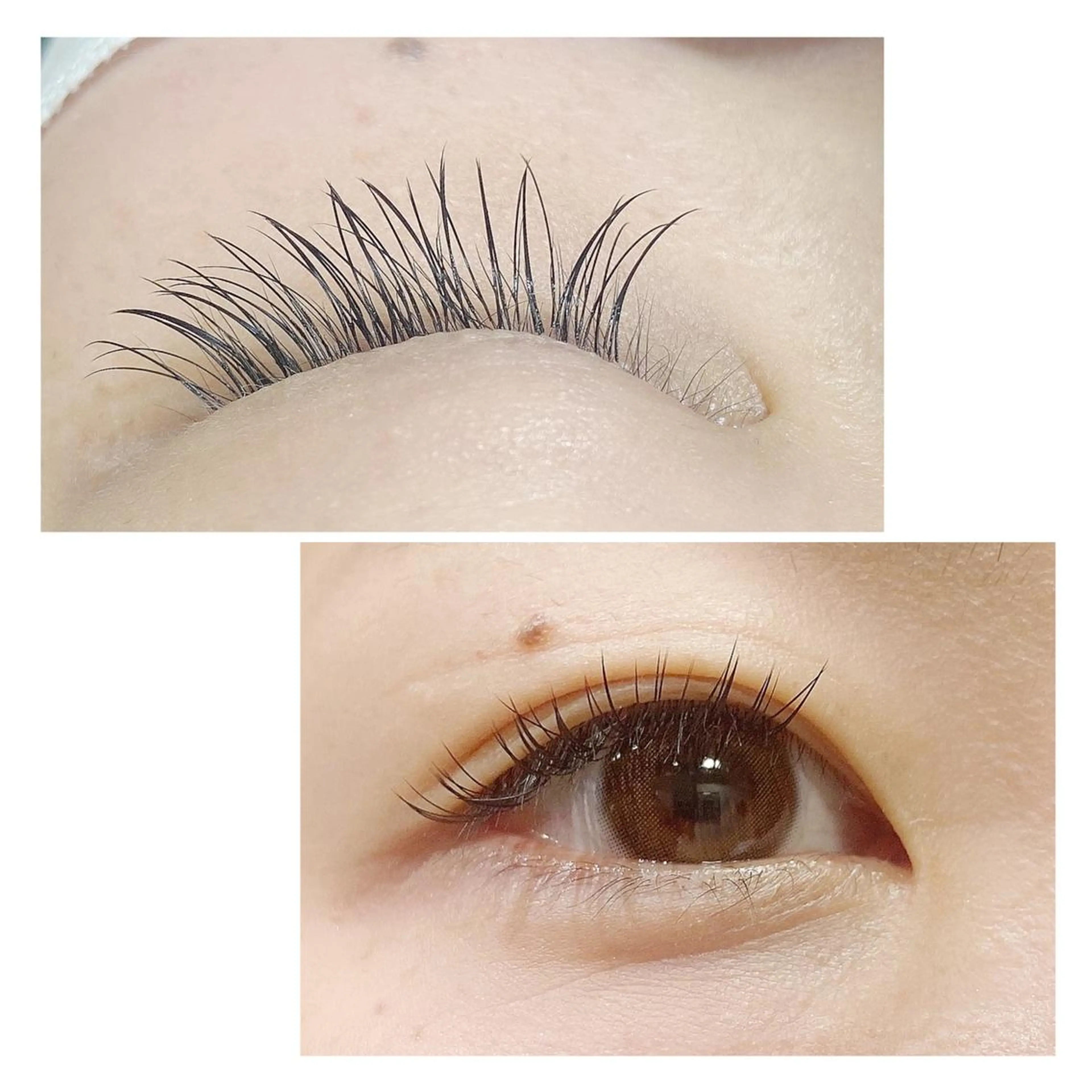 マツエク・マツパ マツエク hikari 🌻*.ﾟのマツエク・マツパデザイン