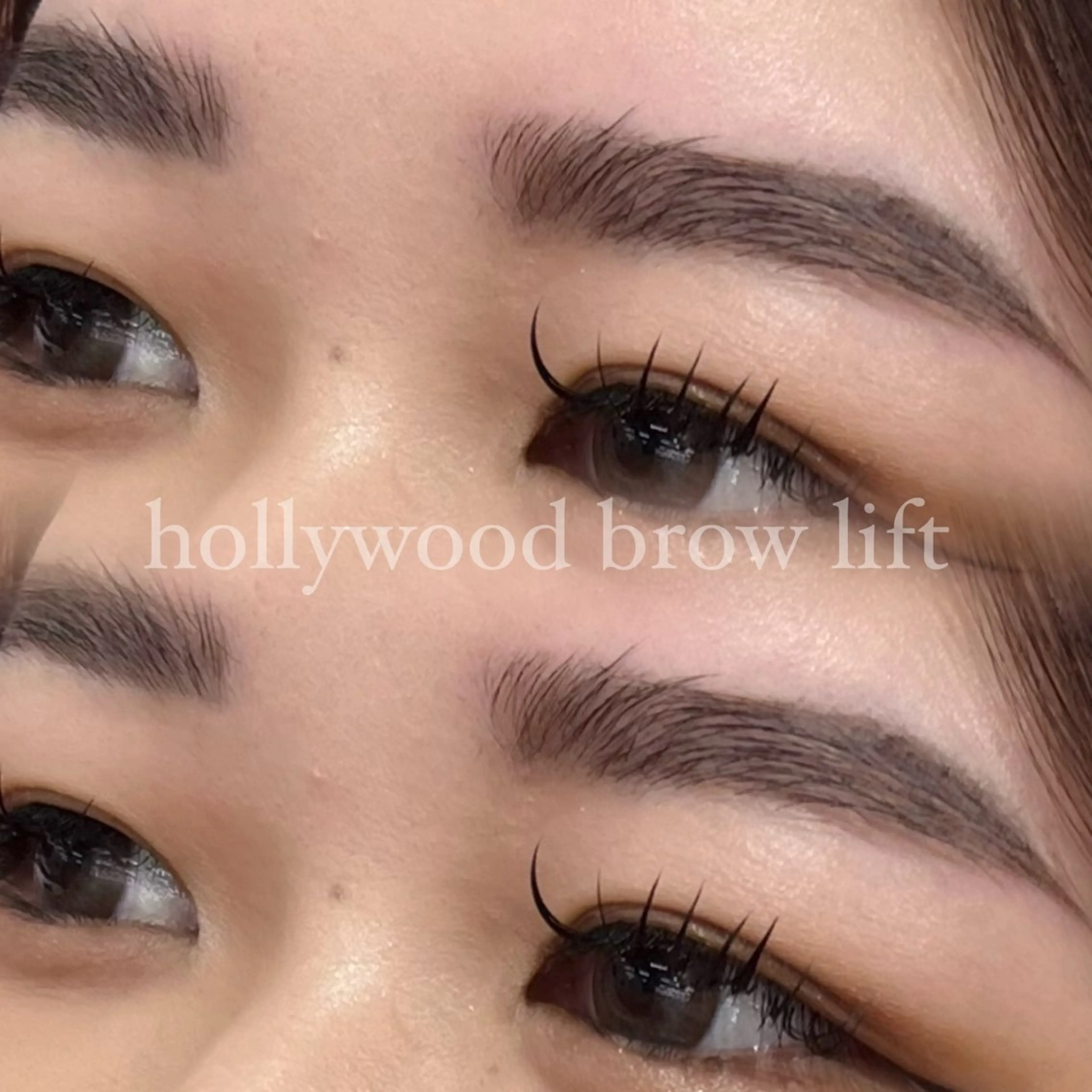 【ご新規様】ハリウッドブロウリフト(眉毛)+パリジェンヌラッシュリフトの写真