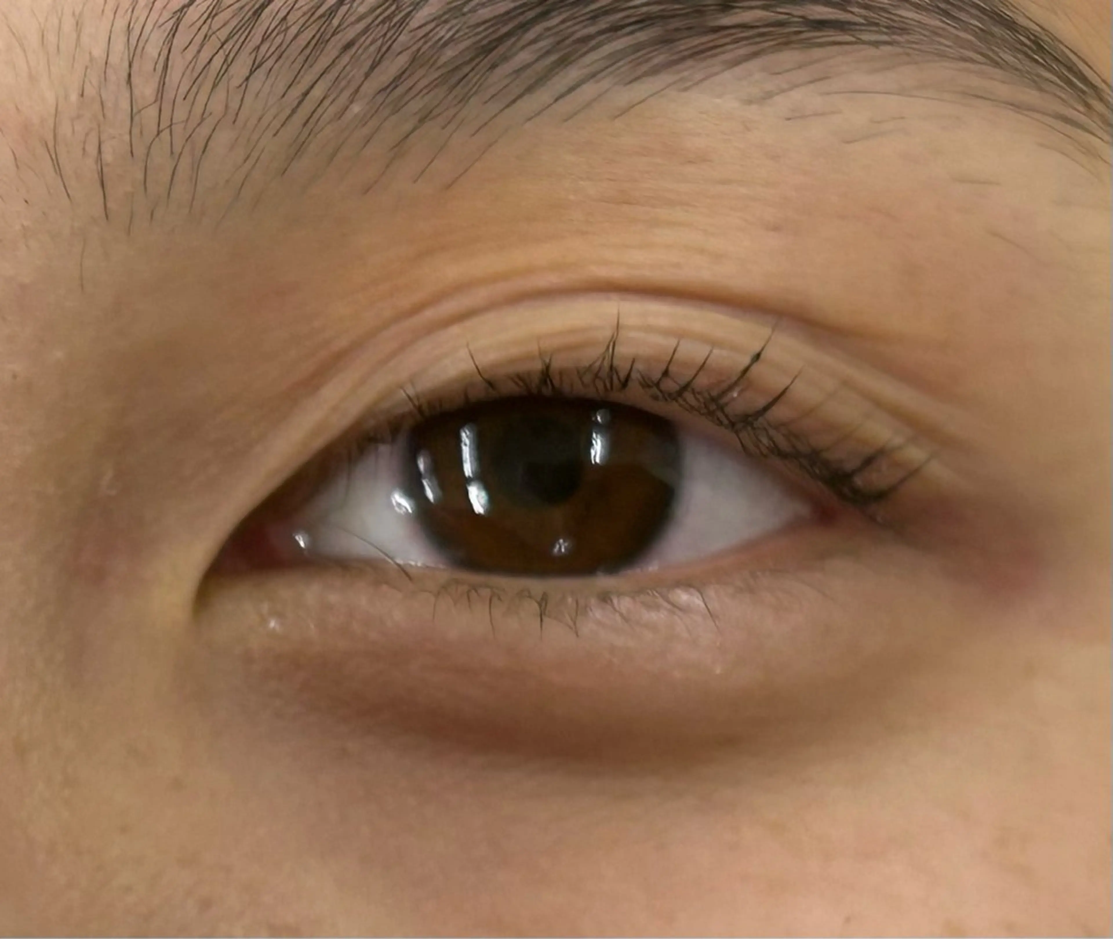 マツエク・マツパ ꪆৎ垢抜け眉 ྀི ワカナ♩岐阜の眉毛・アイブロウイメージ