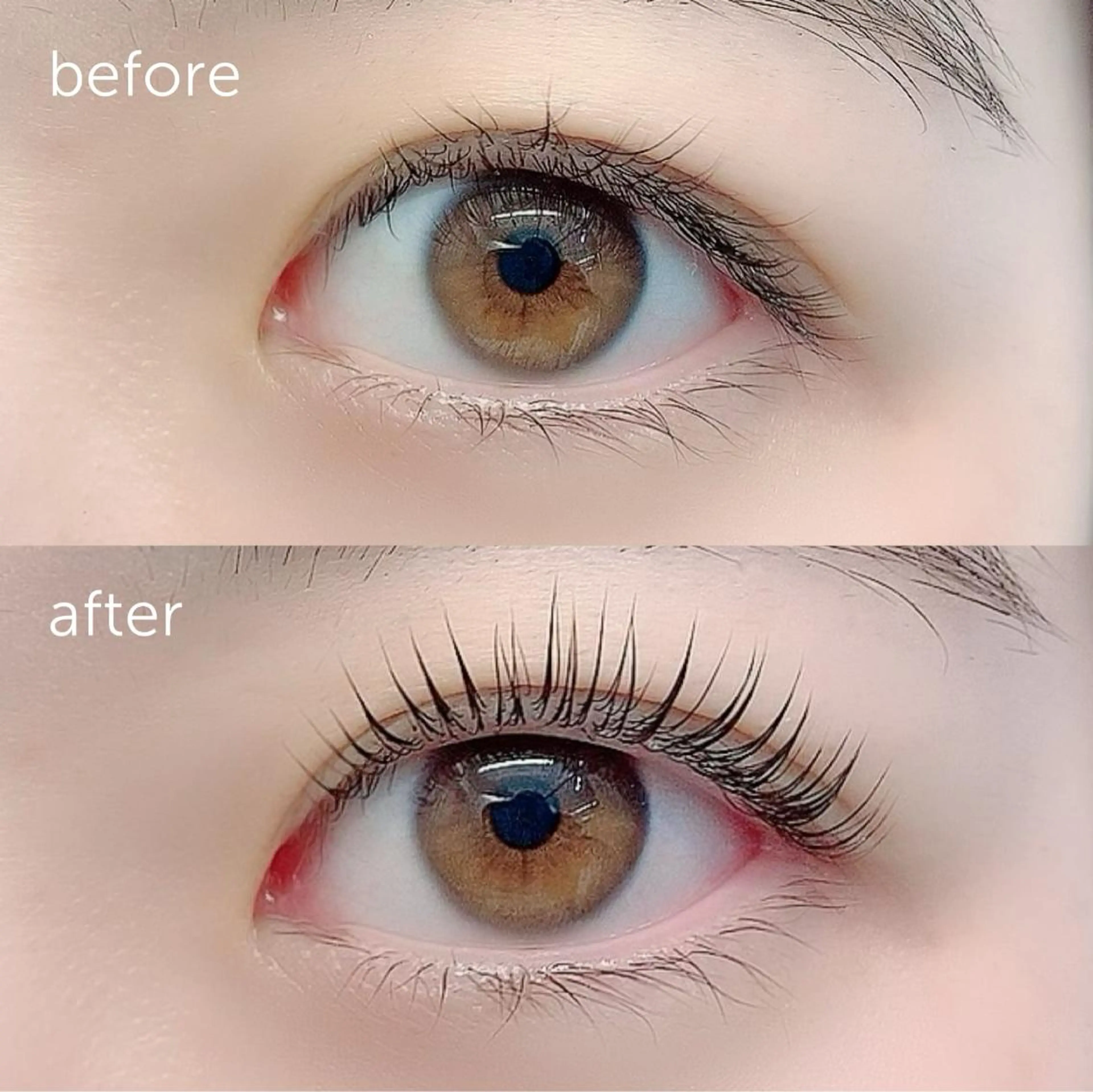 マツエク・マツパ ロレインブロウ横浜店所属・🤍アイリスト kana🤍のマツエク・マツパデザイン