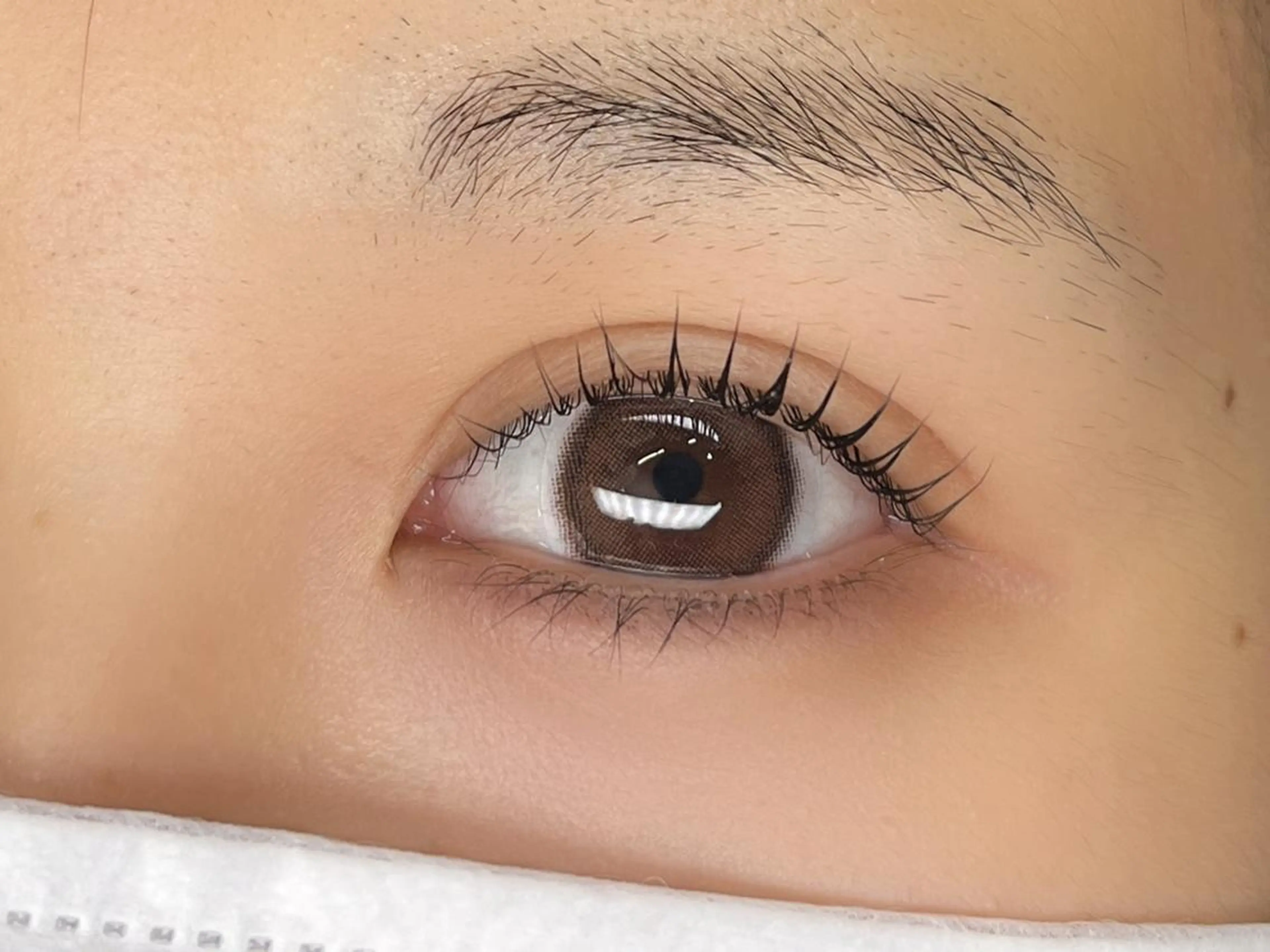 マツエク・マツパ ＫｉＲｉ 🥀　　　　   桐のマツエク・マツパデザイン