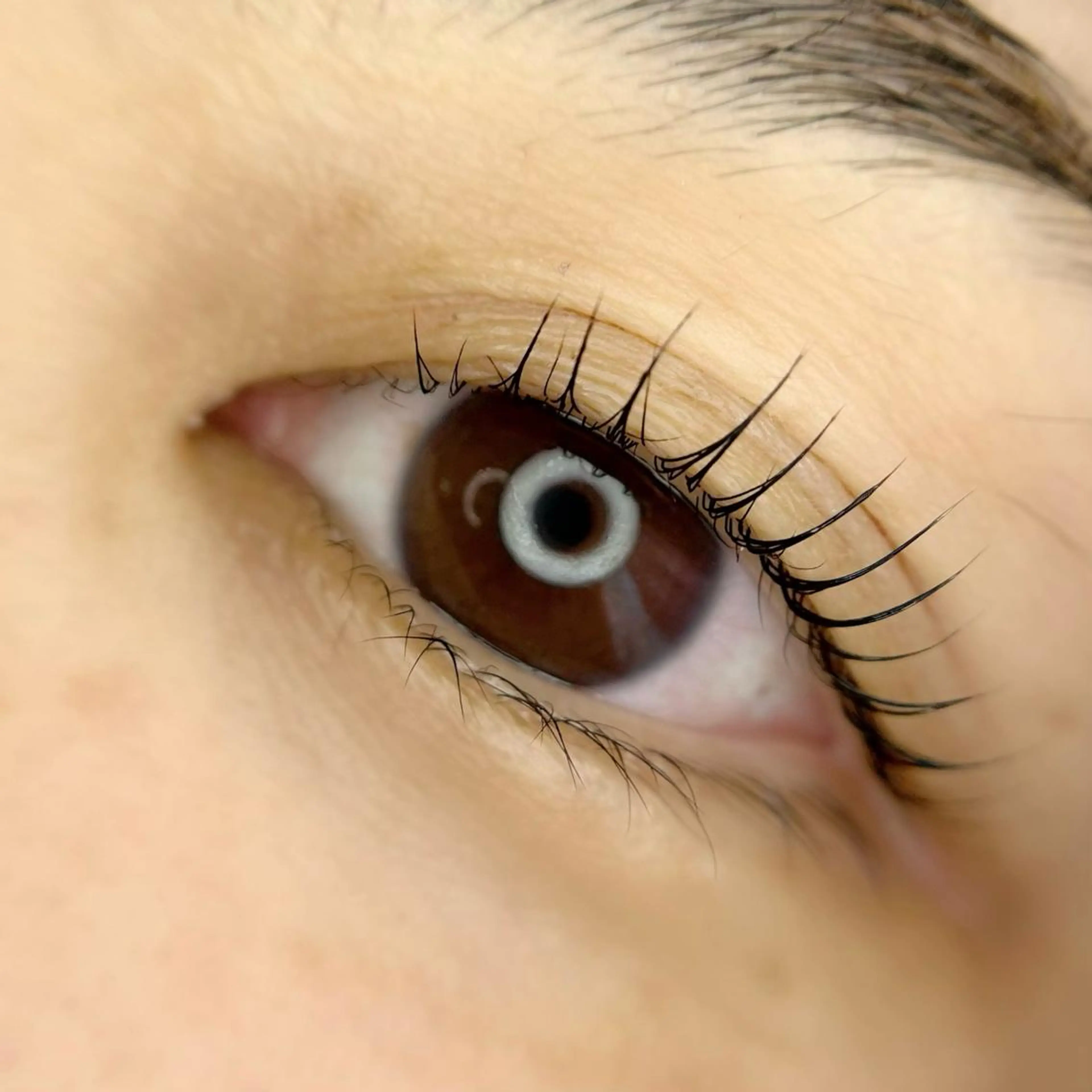 マツエク・マツパ U'll eyelashのマツエク・マツパデザイン