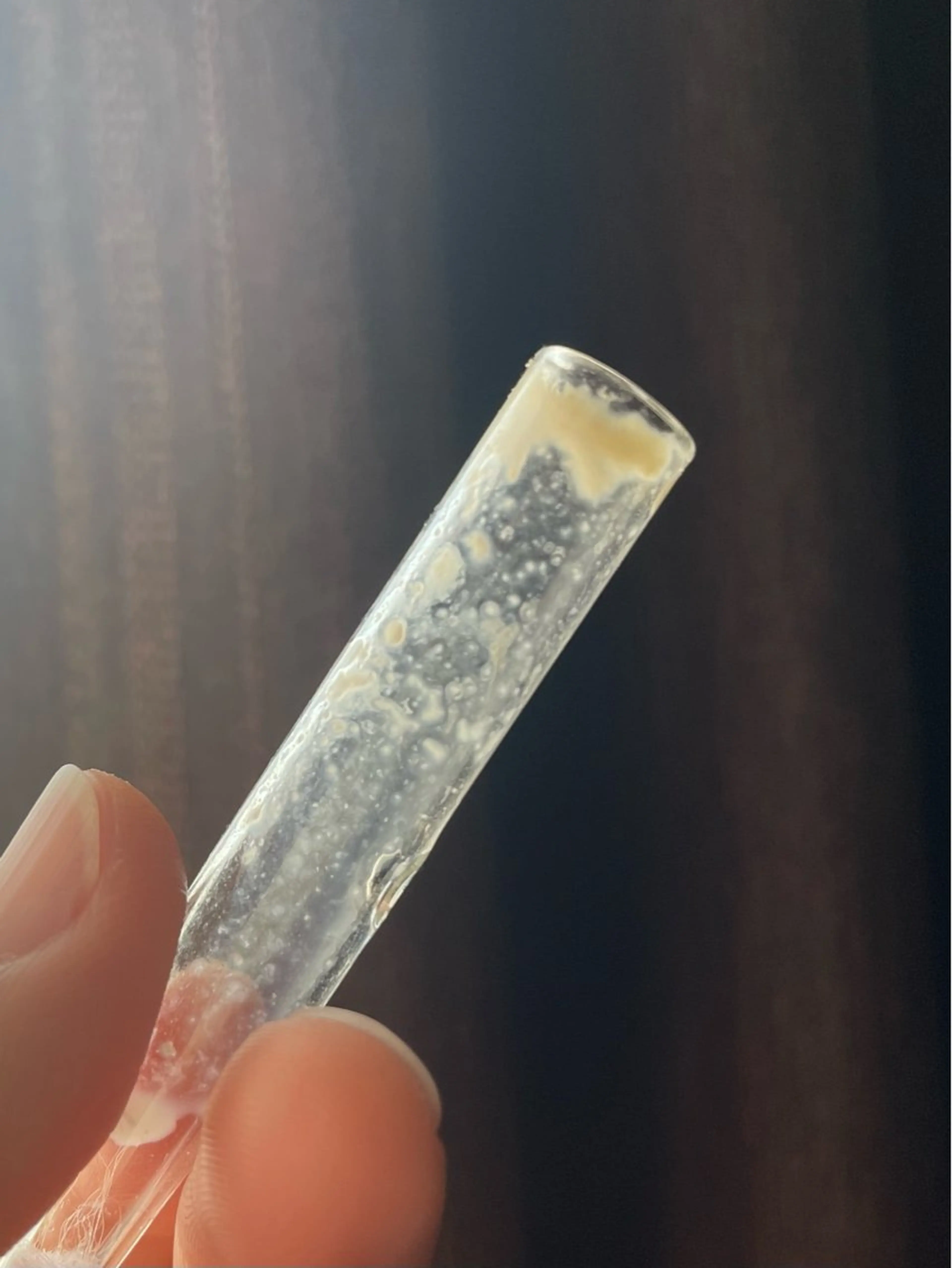 am_orアモール .のエステ・リラクイメージ