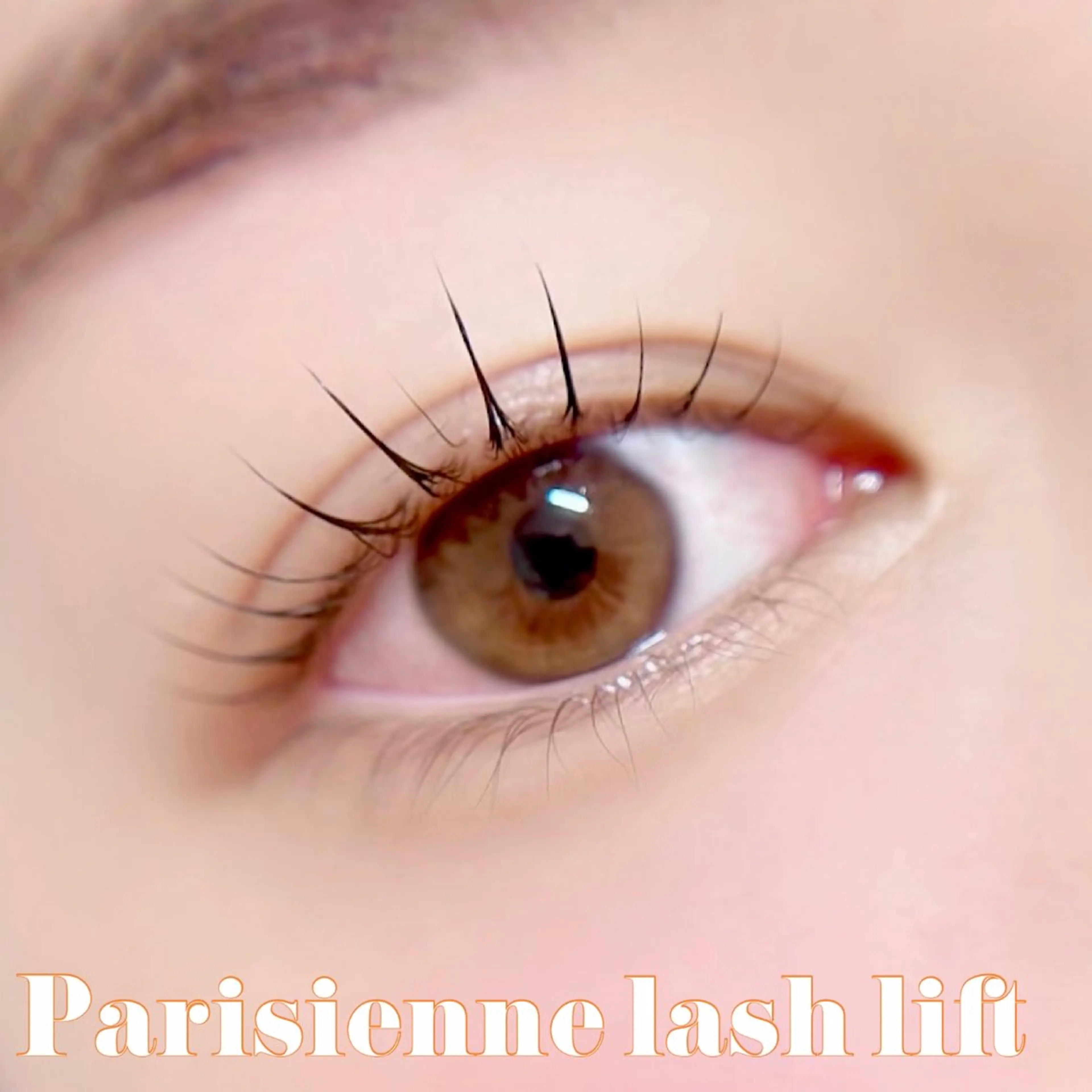 マツエク・マツパ マツパ Mimie【ﾐﾐｨ】 韓国風まつ毛🎀のマツエク・マツパデザイン