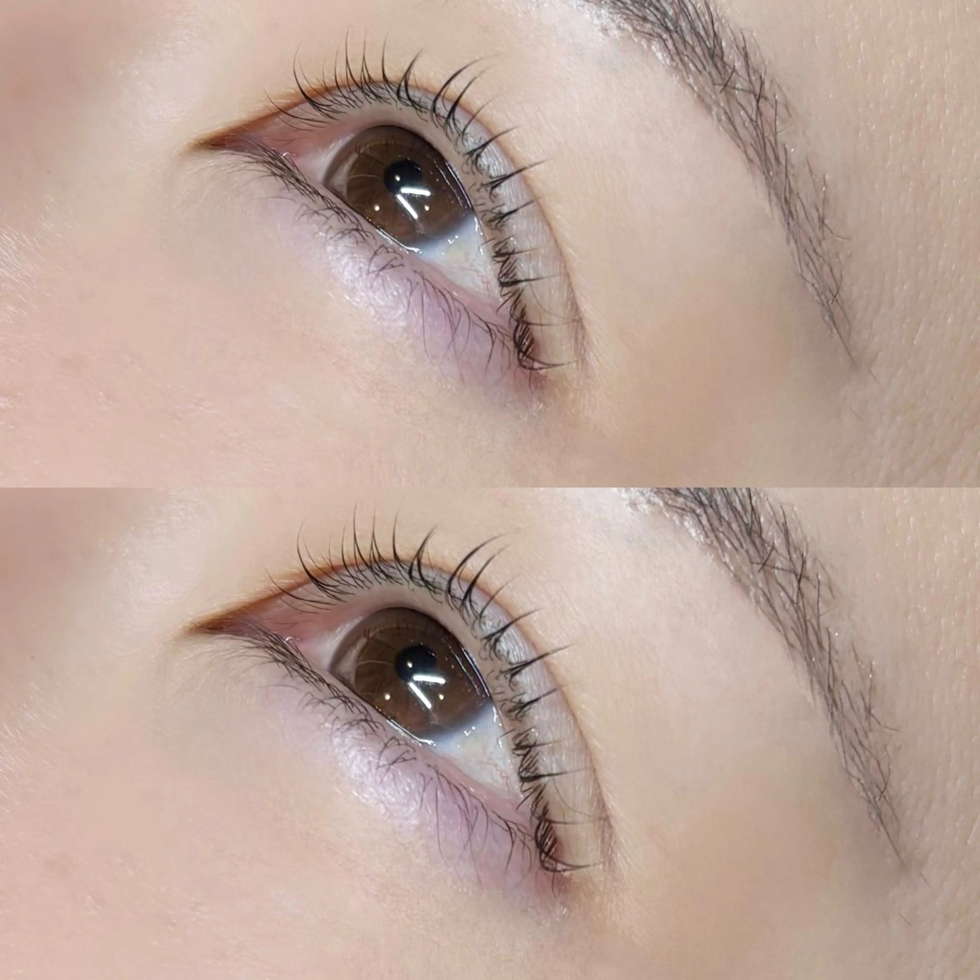 マツエク・マツパ meguru／マツパ ／マツエク／束感のマツエク・マツパデザイン