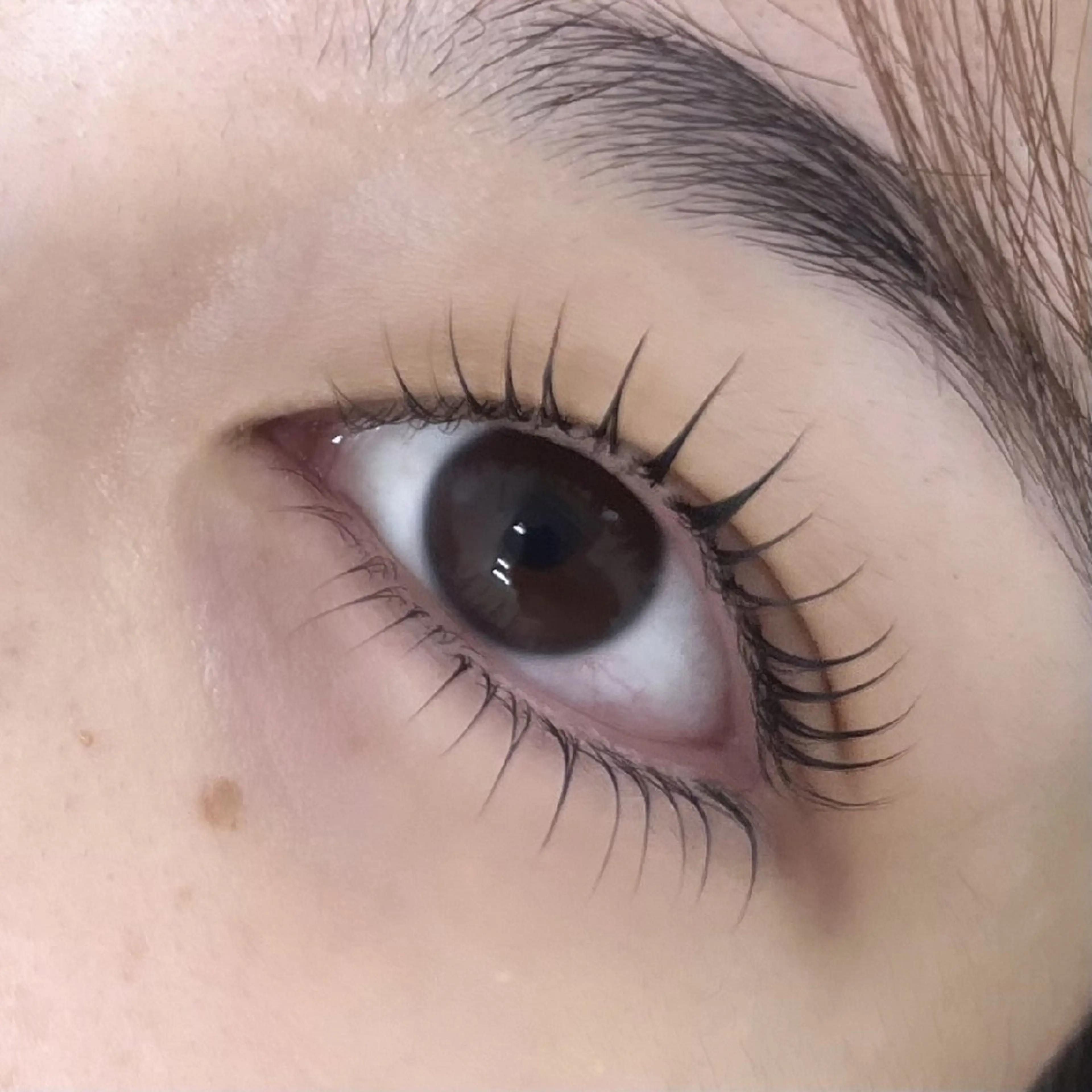 目力アップ💖上下まつ毛パーマ(コーティング付)の写真