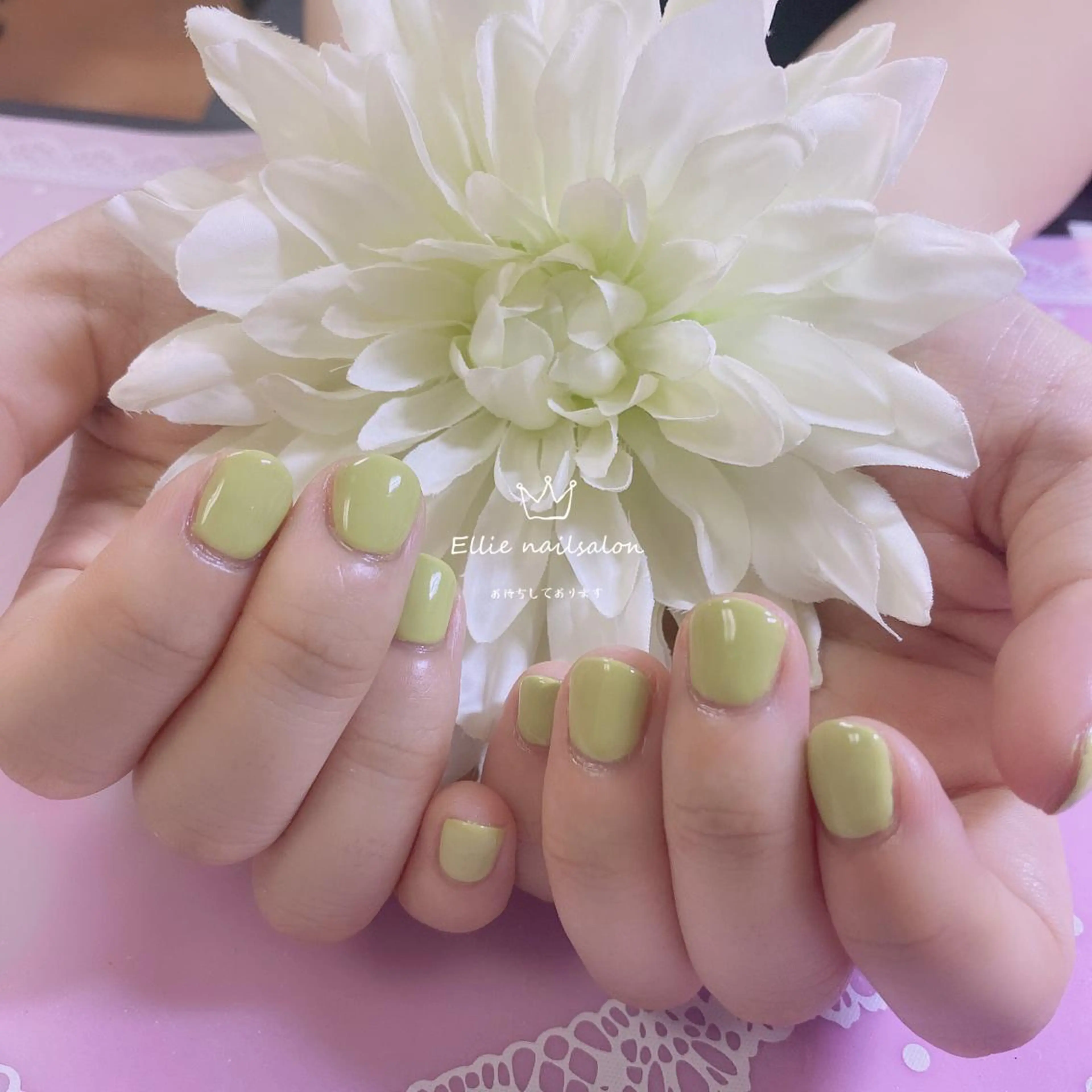 ネイル ワンカラーネイル ハンドネイル ハンドケア 閨匠ビューティサロン 新橋店♡Ellieのネイルデザイン