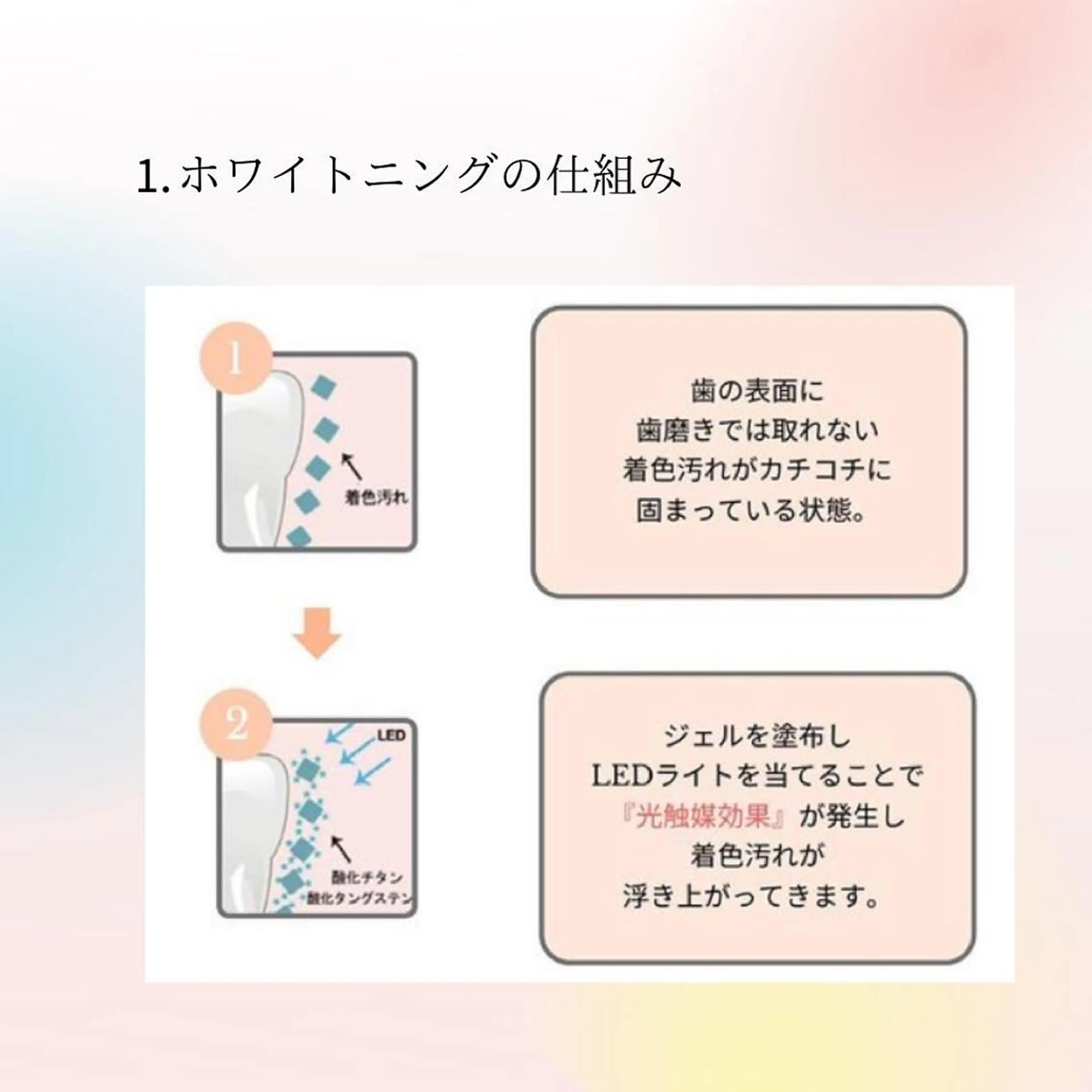 ホワイトニング シャトンのその他イメージ