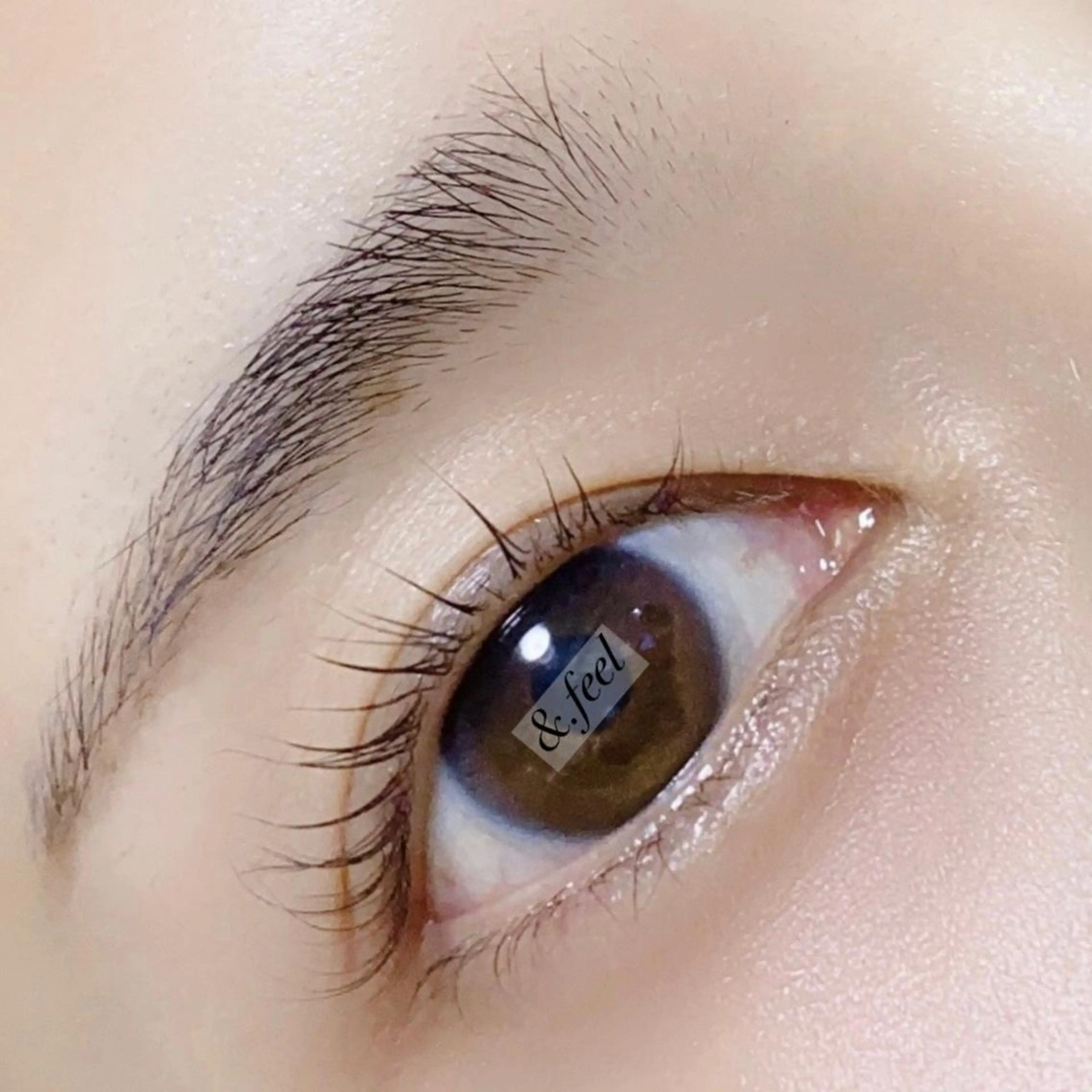 マツエク・マツパ &.feel エンフィールのマツエク・マツパデザイン