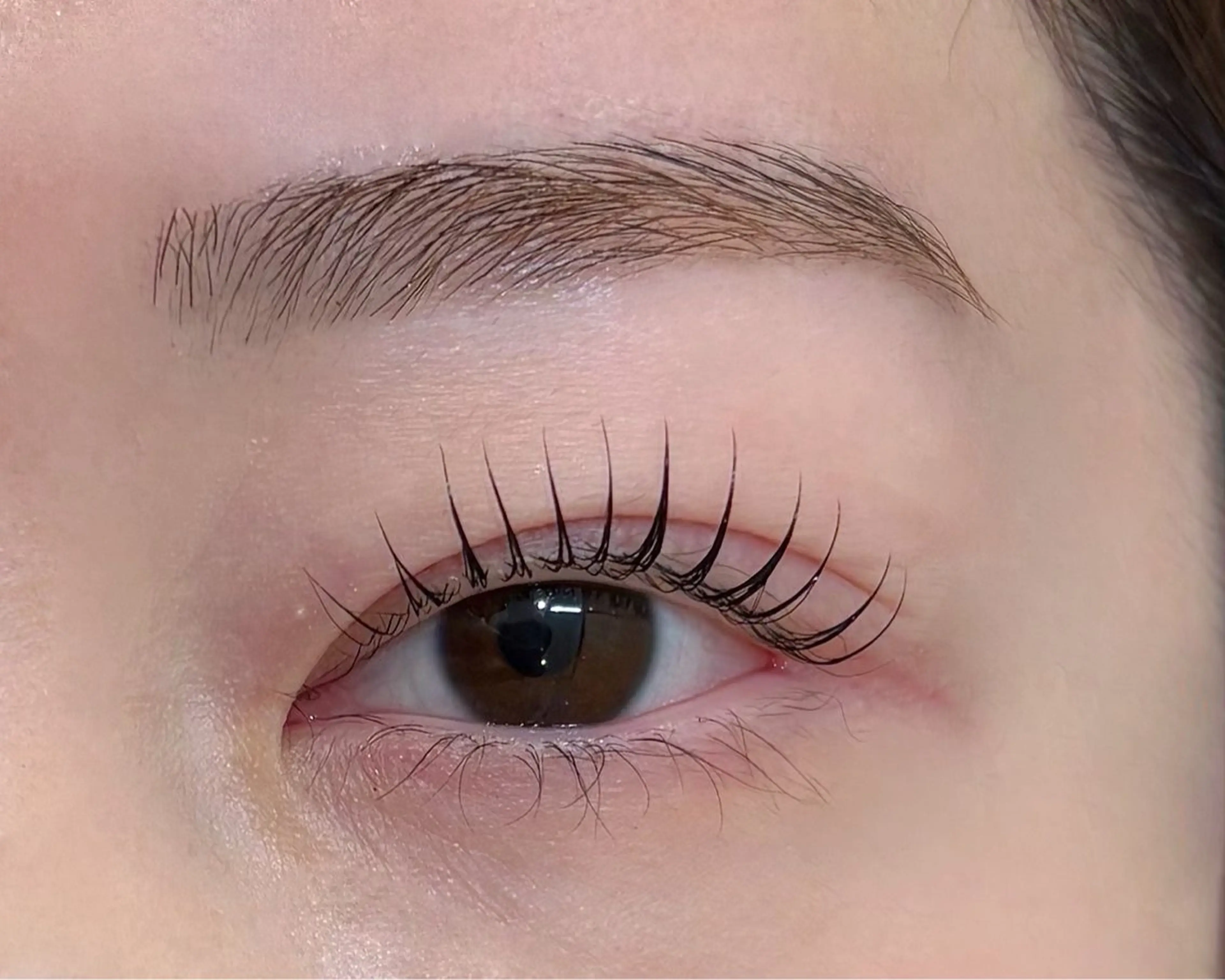 【初回】🧺パリジェンヌorまつ毛カール✖️アイブロウwax🪿🍀の写真