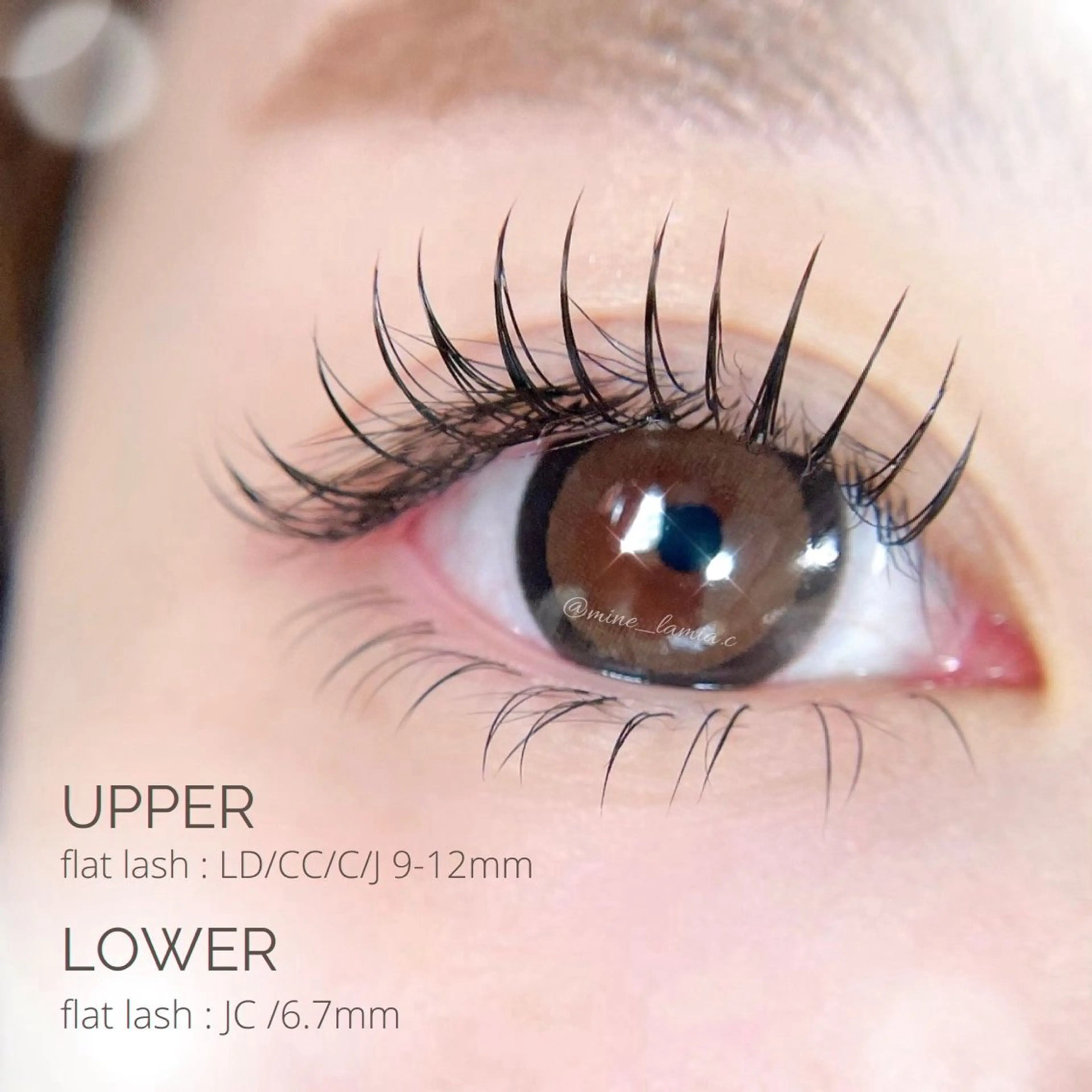 マツエク・マツパ マツエク LaMia.C ラミアのマツエク・マツパデザイン