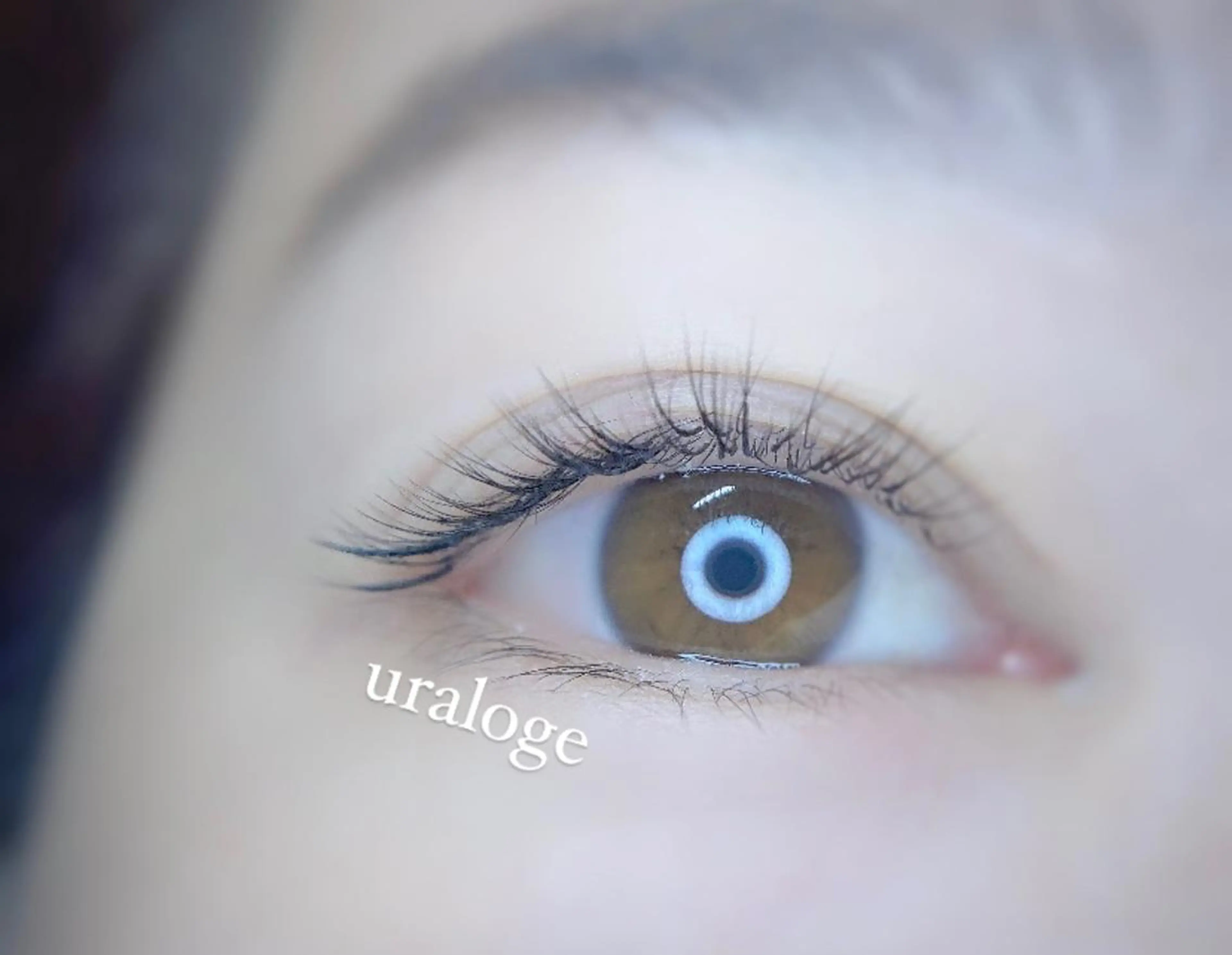 🌿選べるマツエク🌿100本まで[最軽量フラットラッシュ]or[抗菌セーブル]or[フルカラー2色まで］(オフ込)の写真