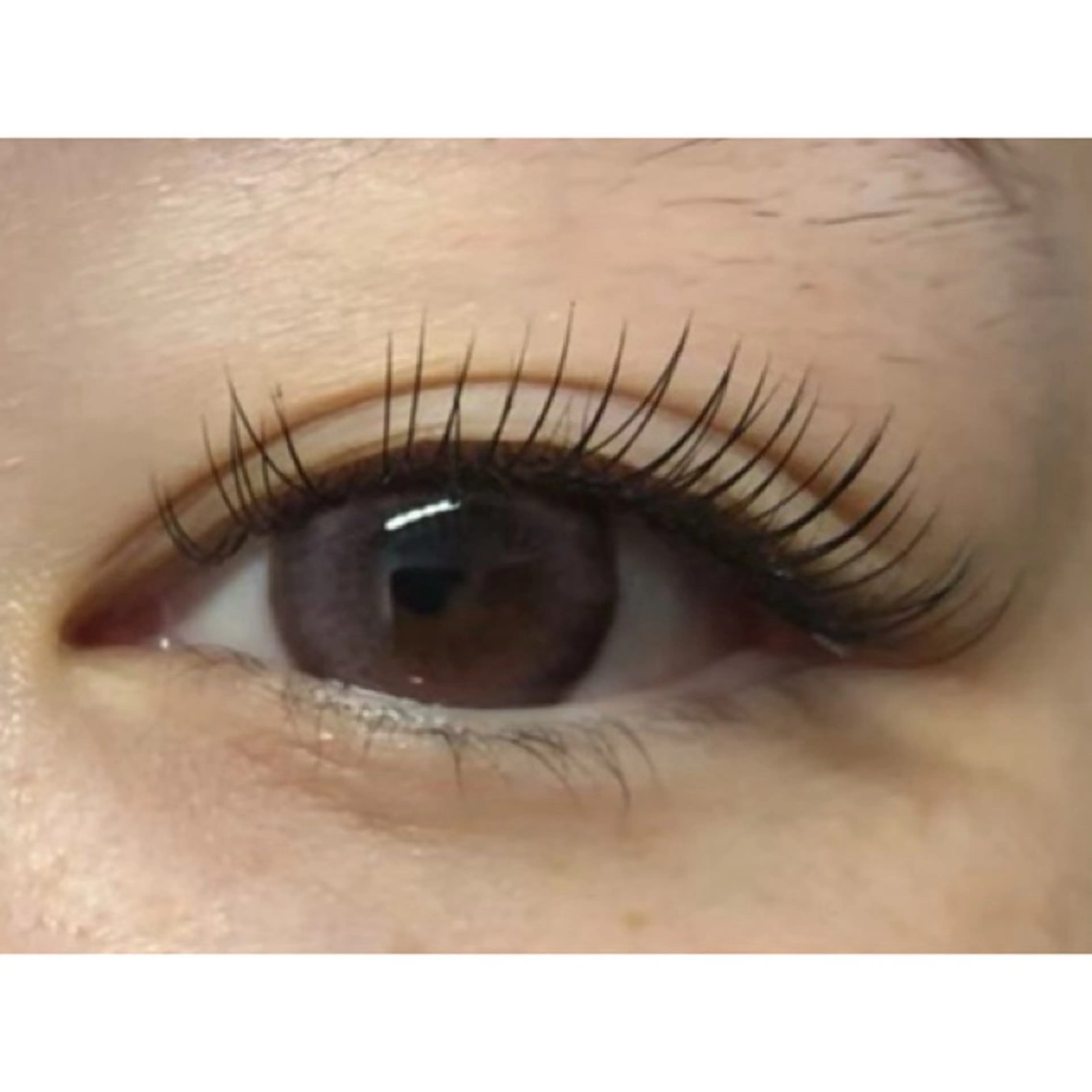 マツエク・マツパ マツエク アイラッシュサロンLuz町田店所属・Luz町田店 工藤の眉毛・アイブロウイメージ